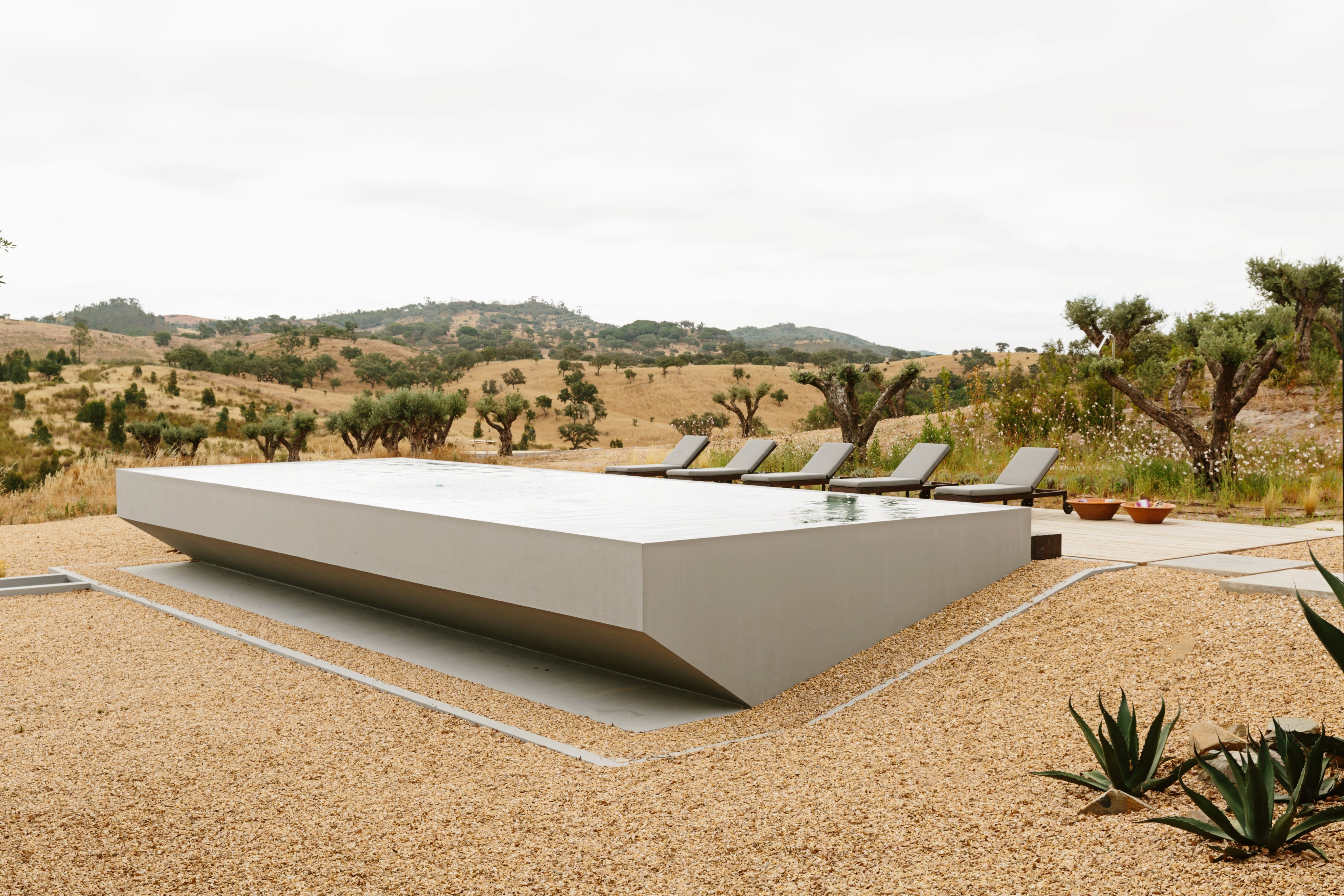 Scoutaround White Logo