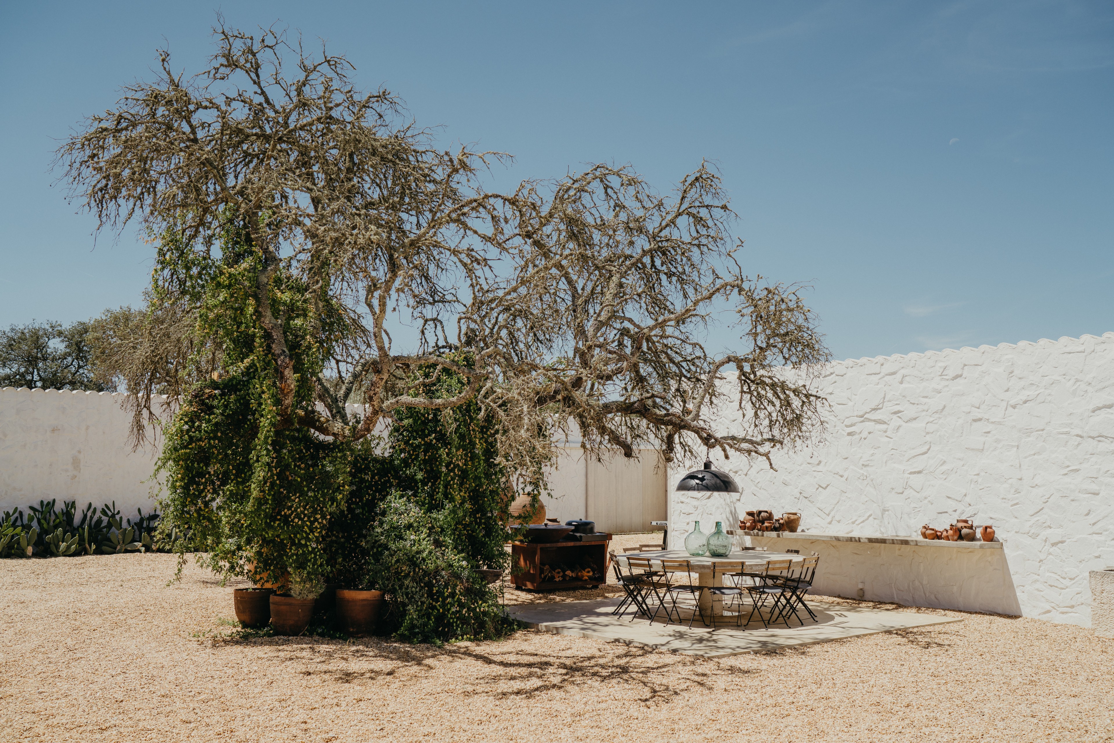 Scoutaround White Logo