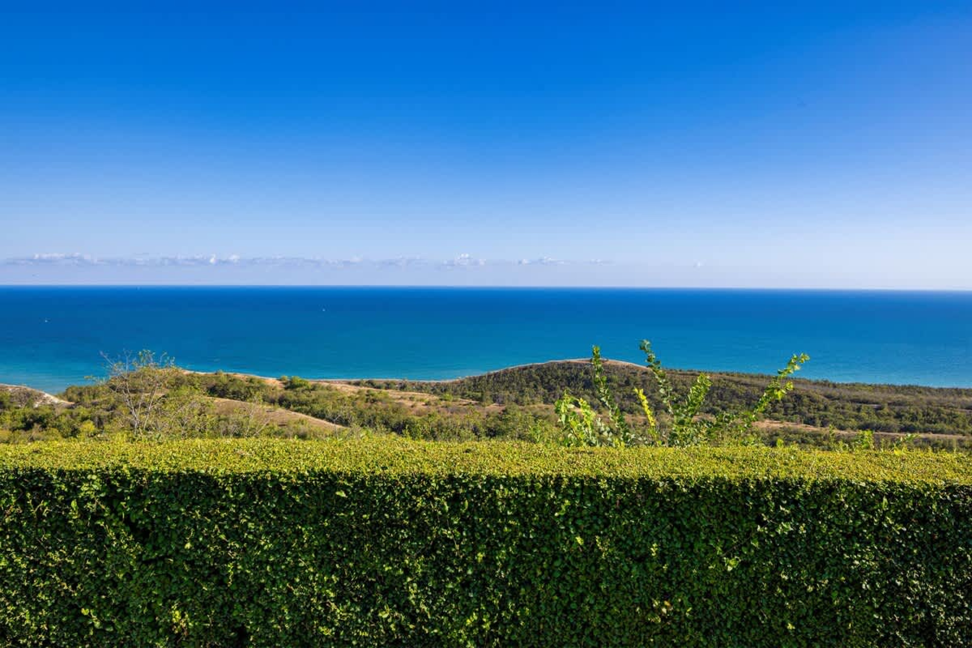 Scoutaround White Logo