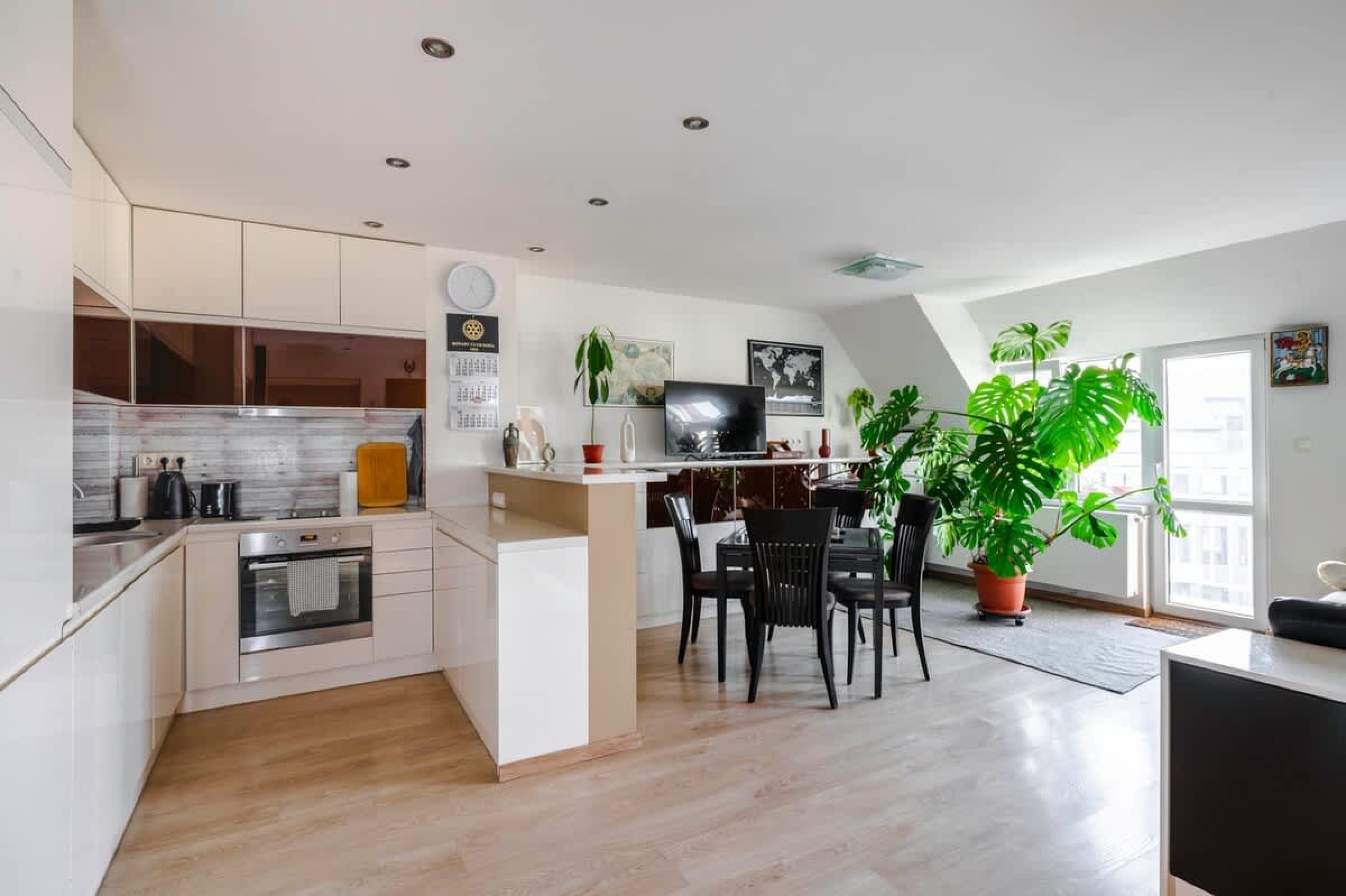 Scoutaround White Logo