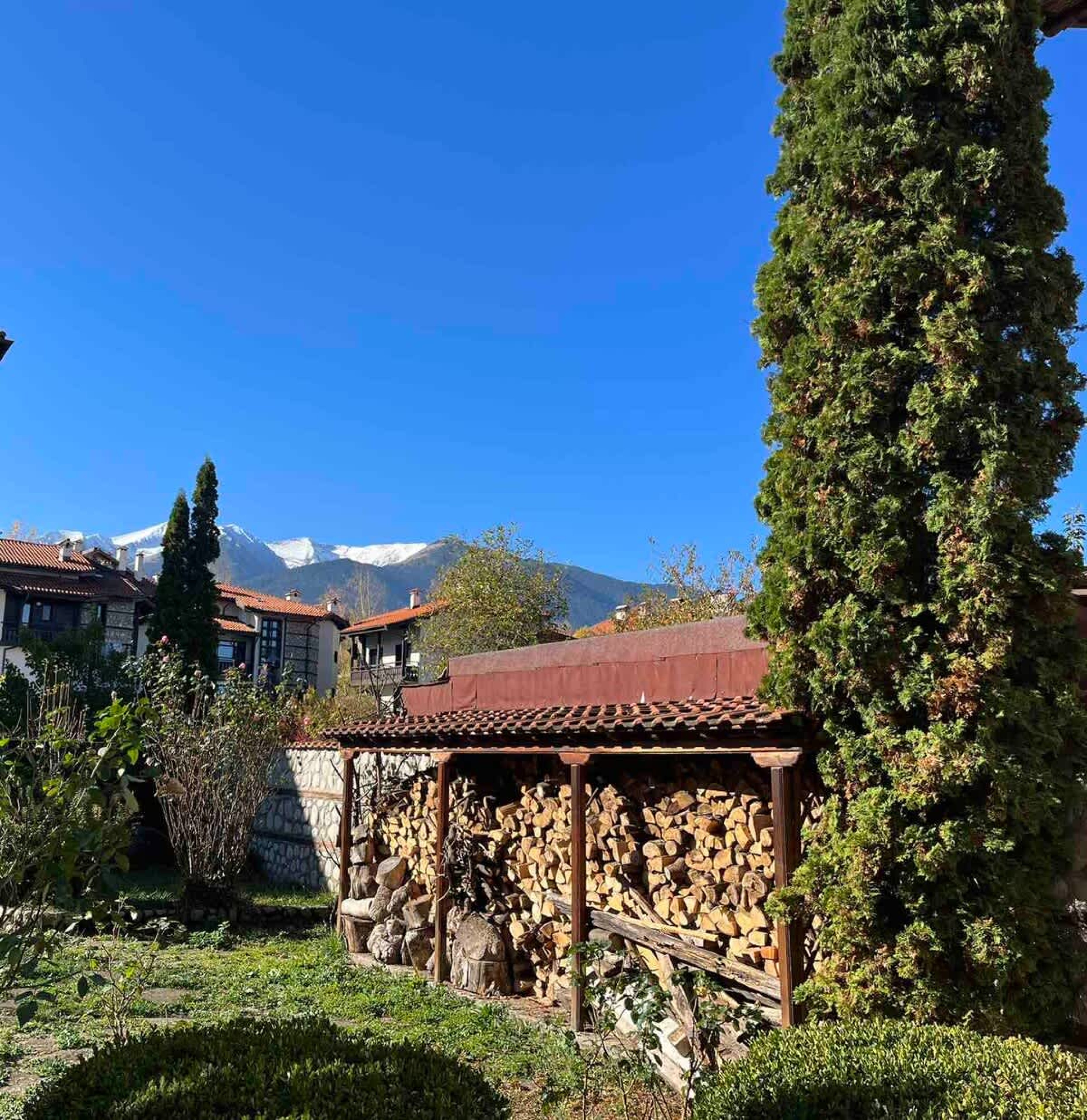 Scoutaround White Logo