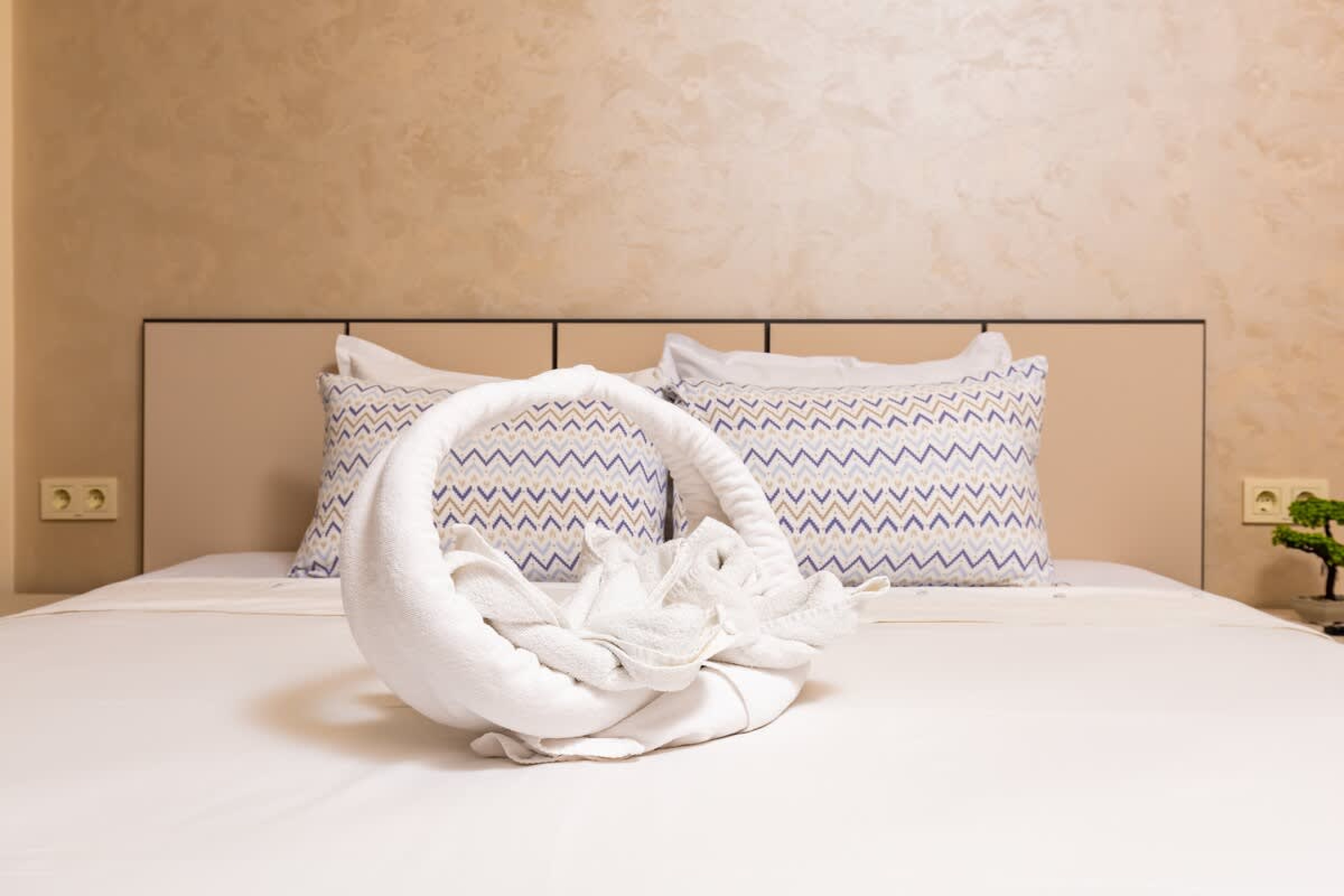 Scoutaround White Logo