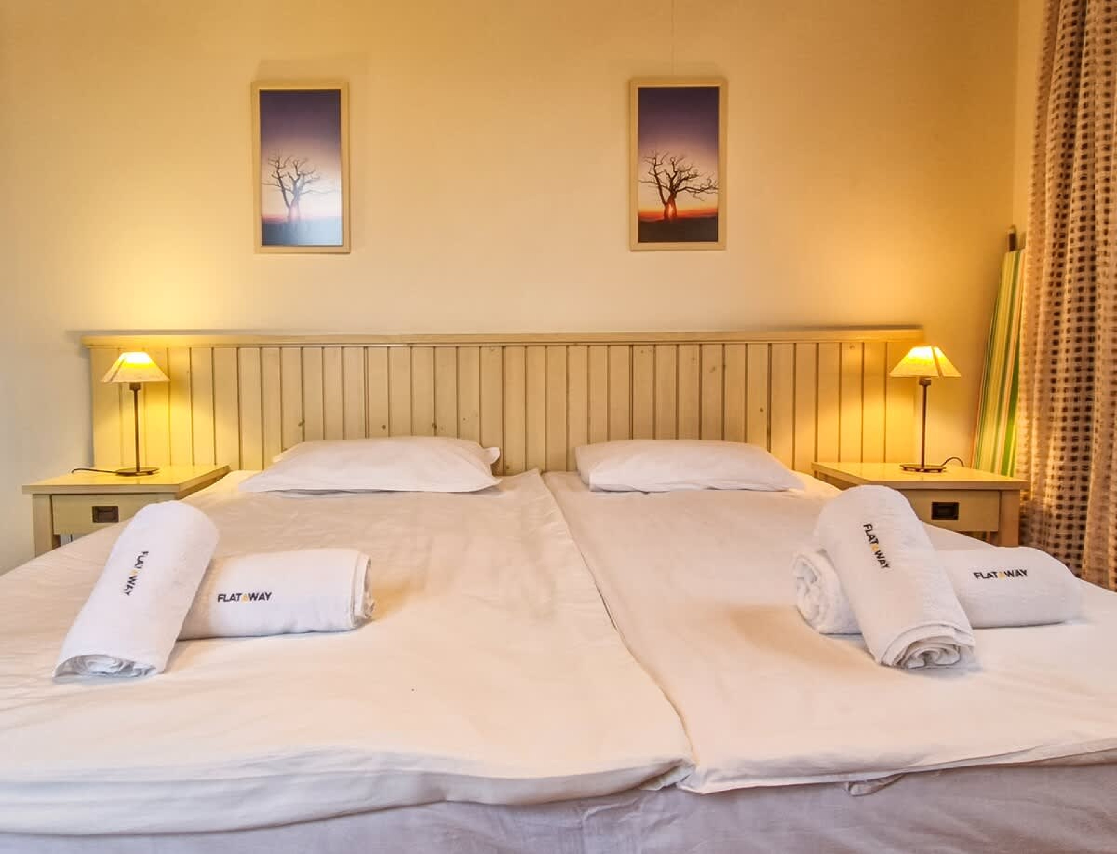 Scoutaround White Logo