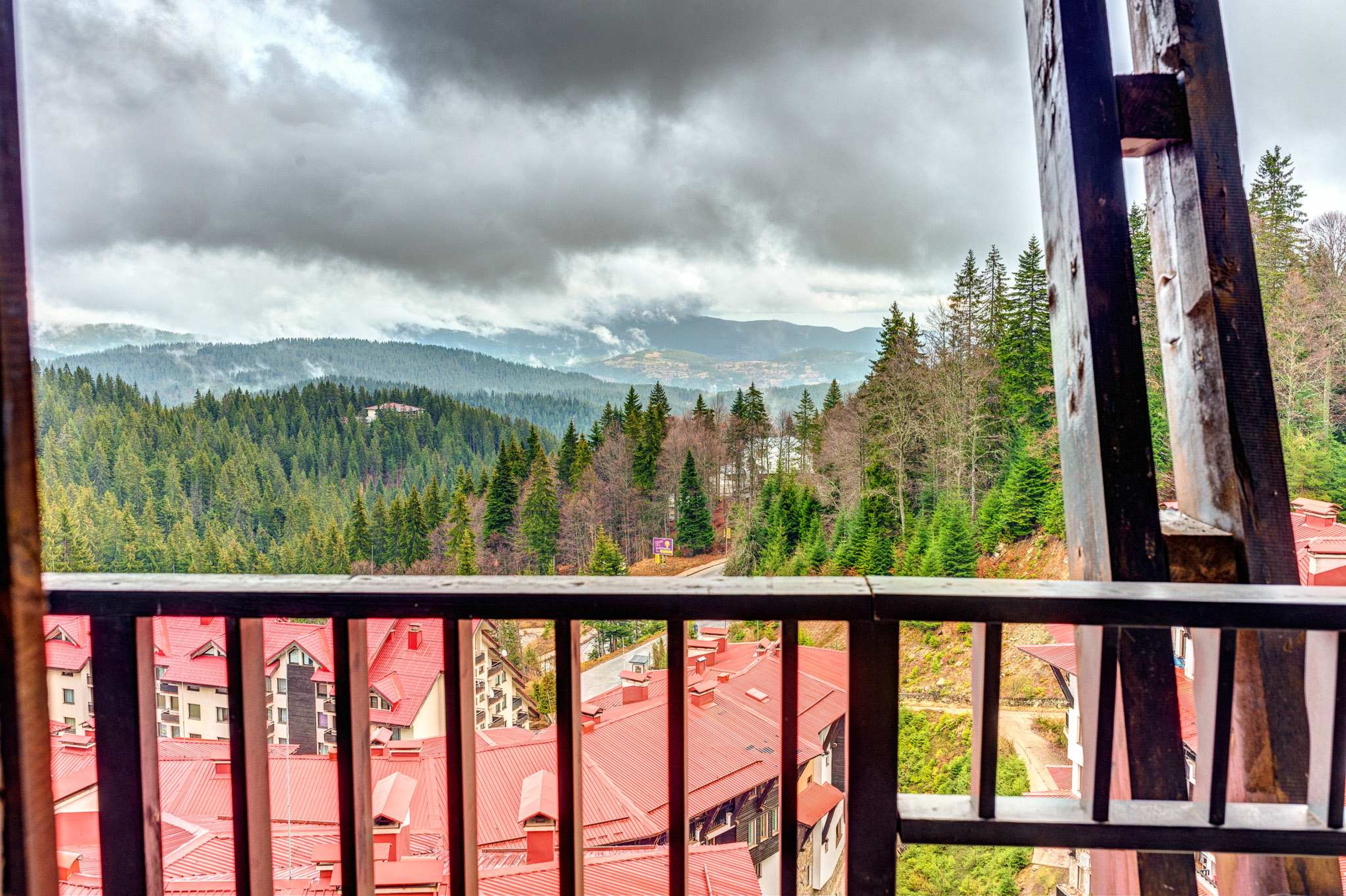 Scoutaround White Logo