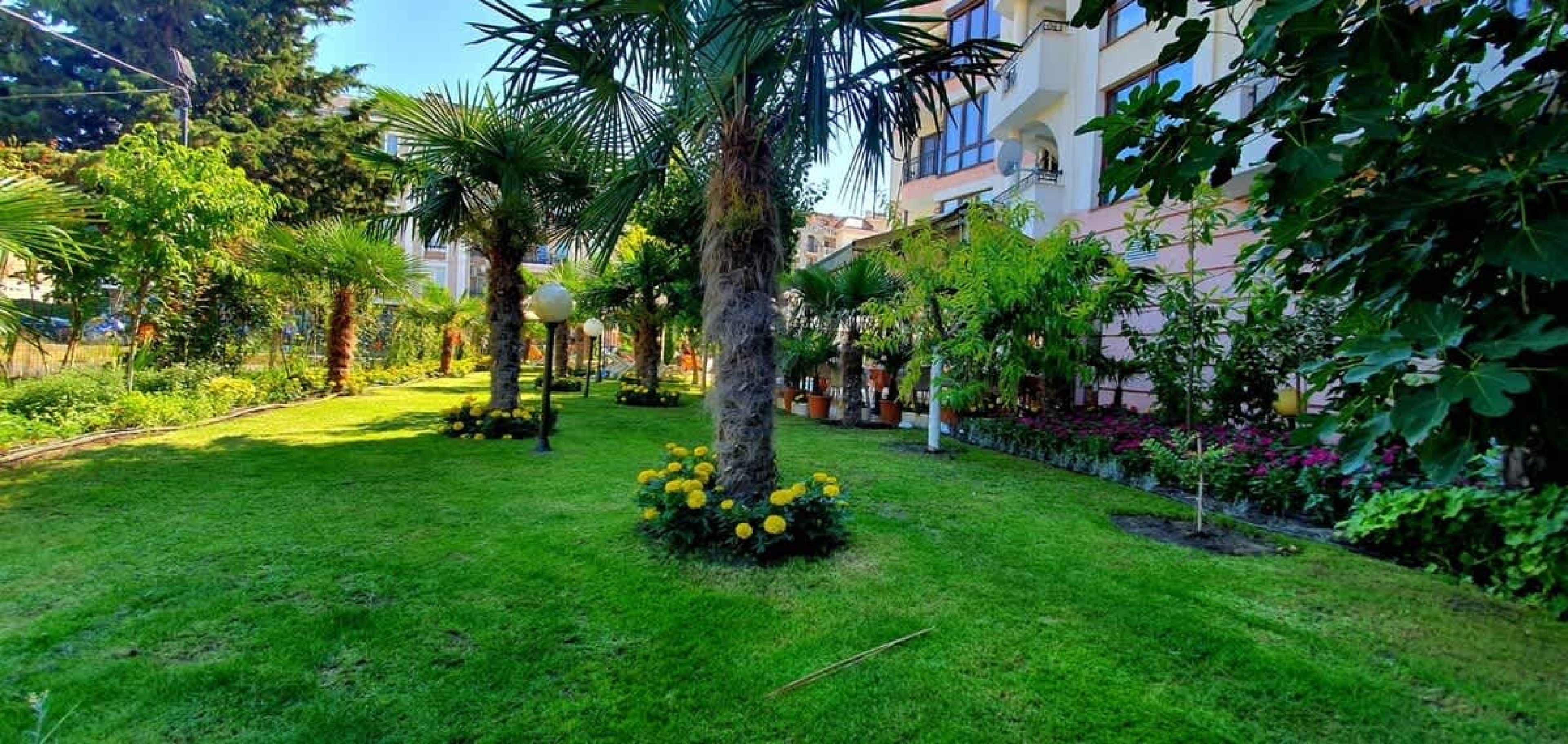 Scoutaround White Logo