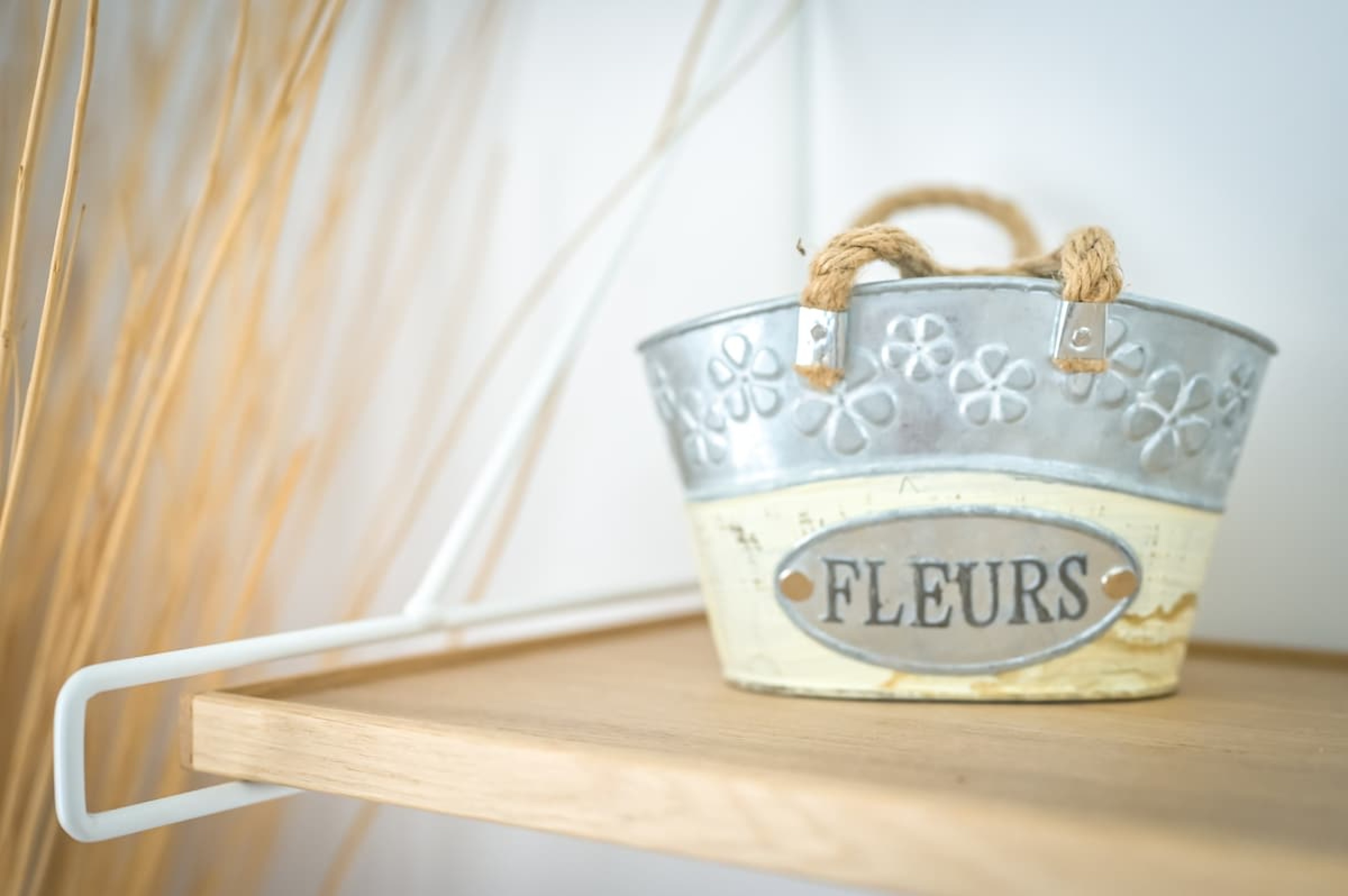 Scoutaround White Logo