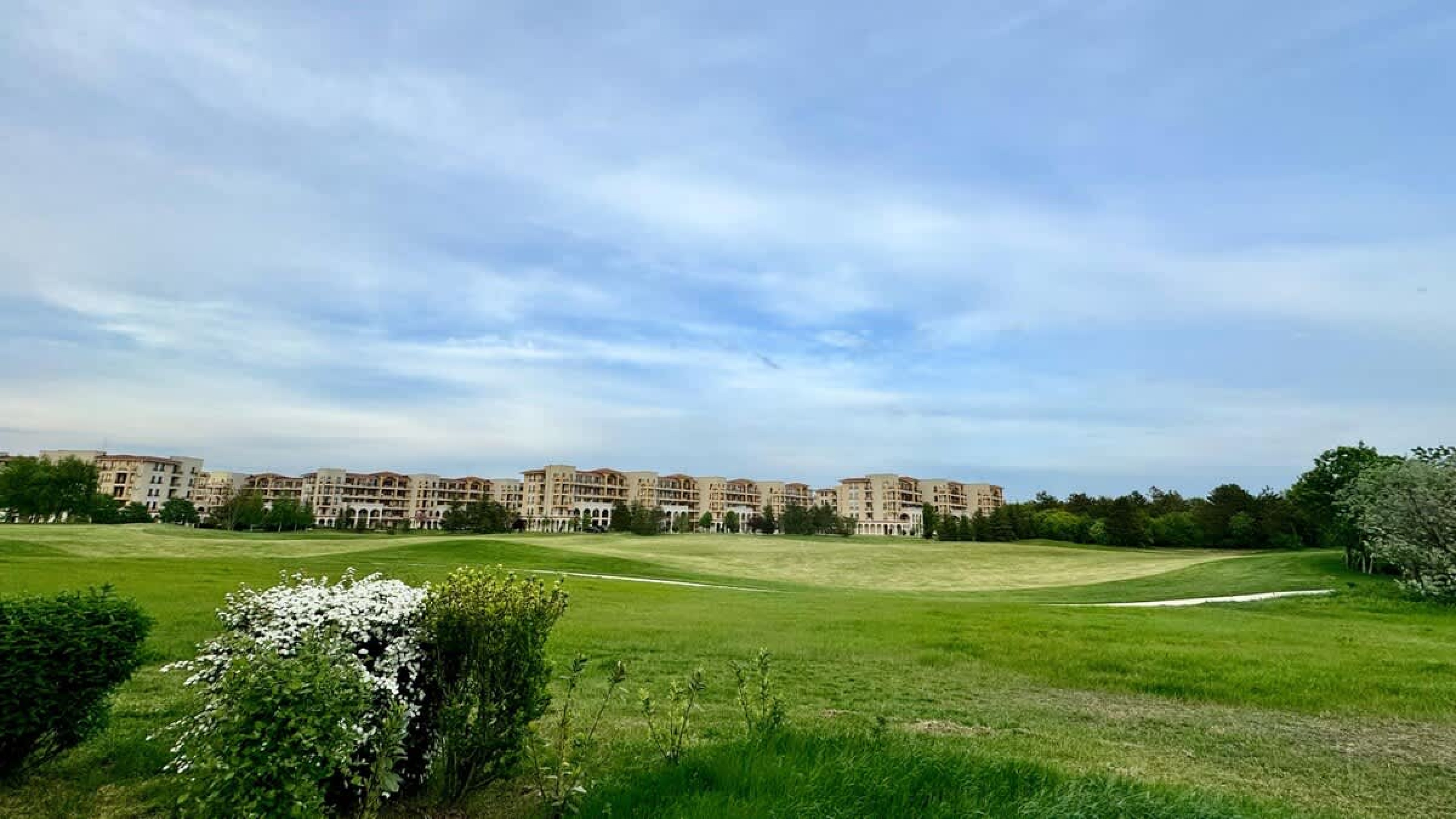 Scoutaround White Logo