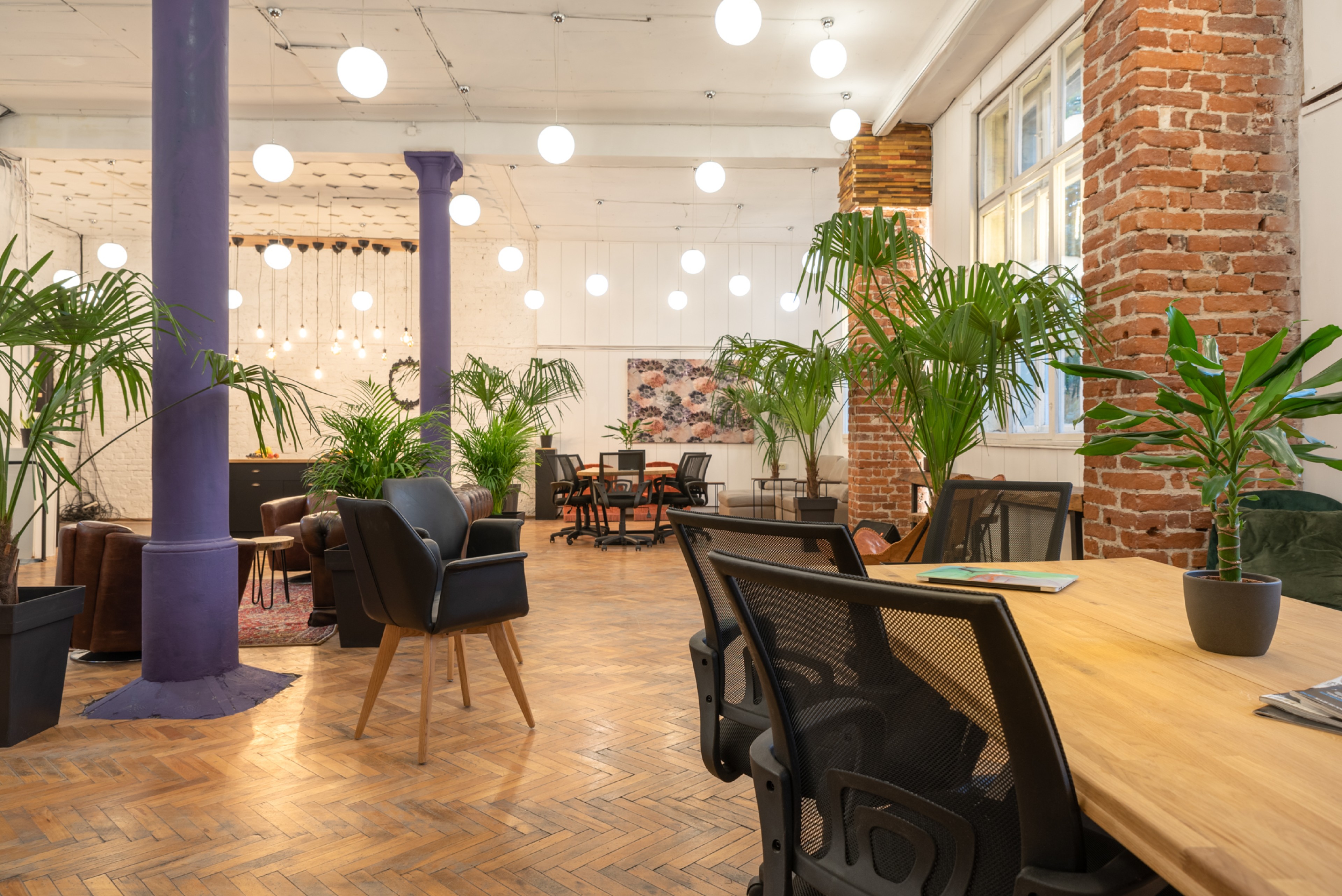 Scoutaround White Logo