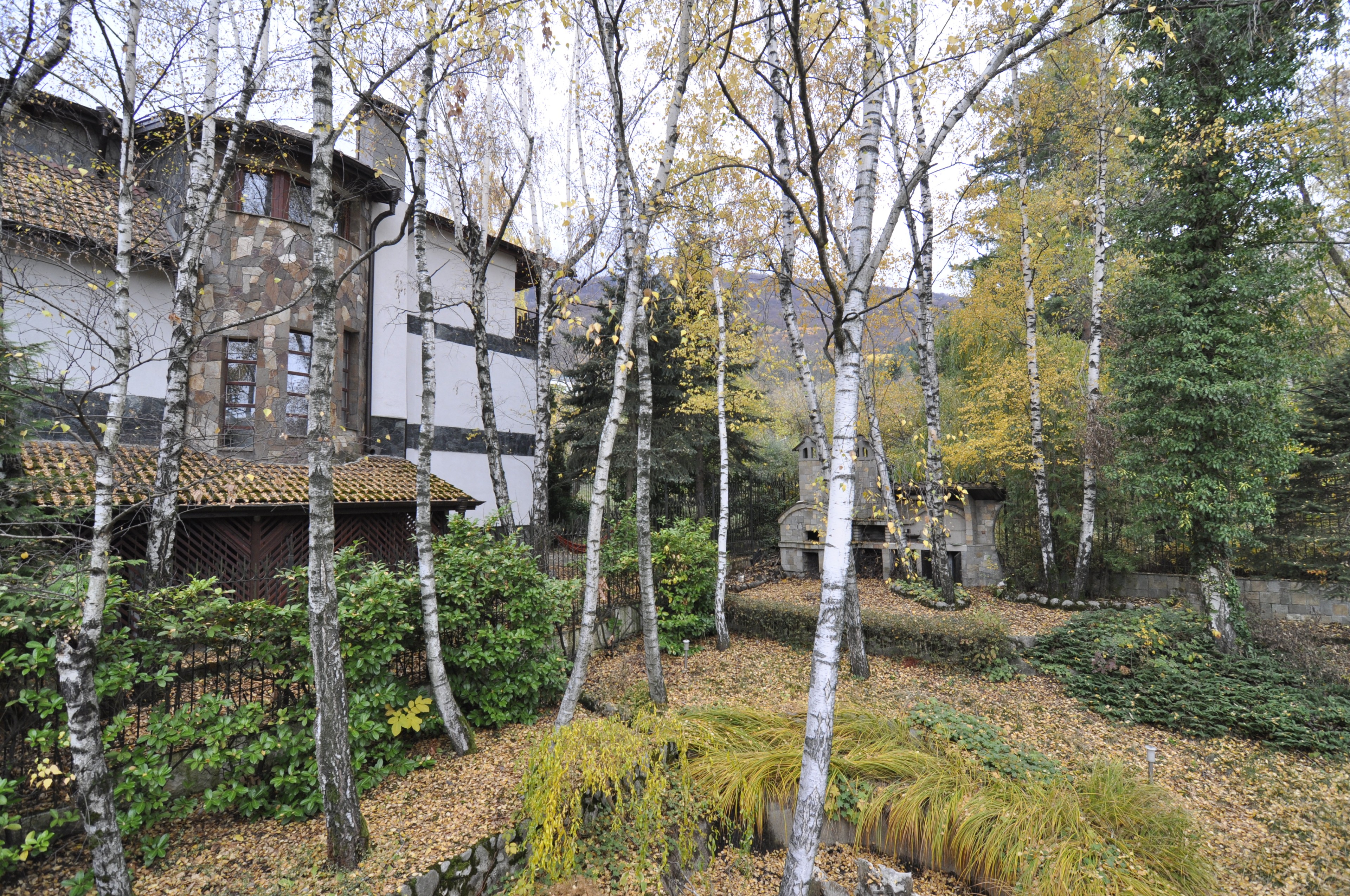 Scoutaround White Logo