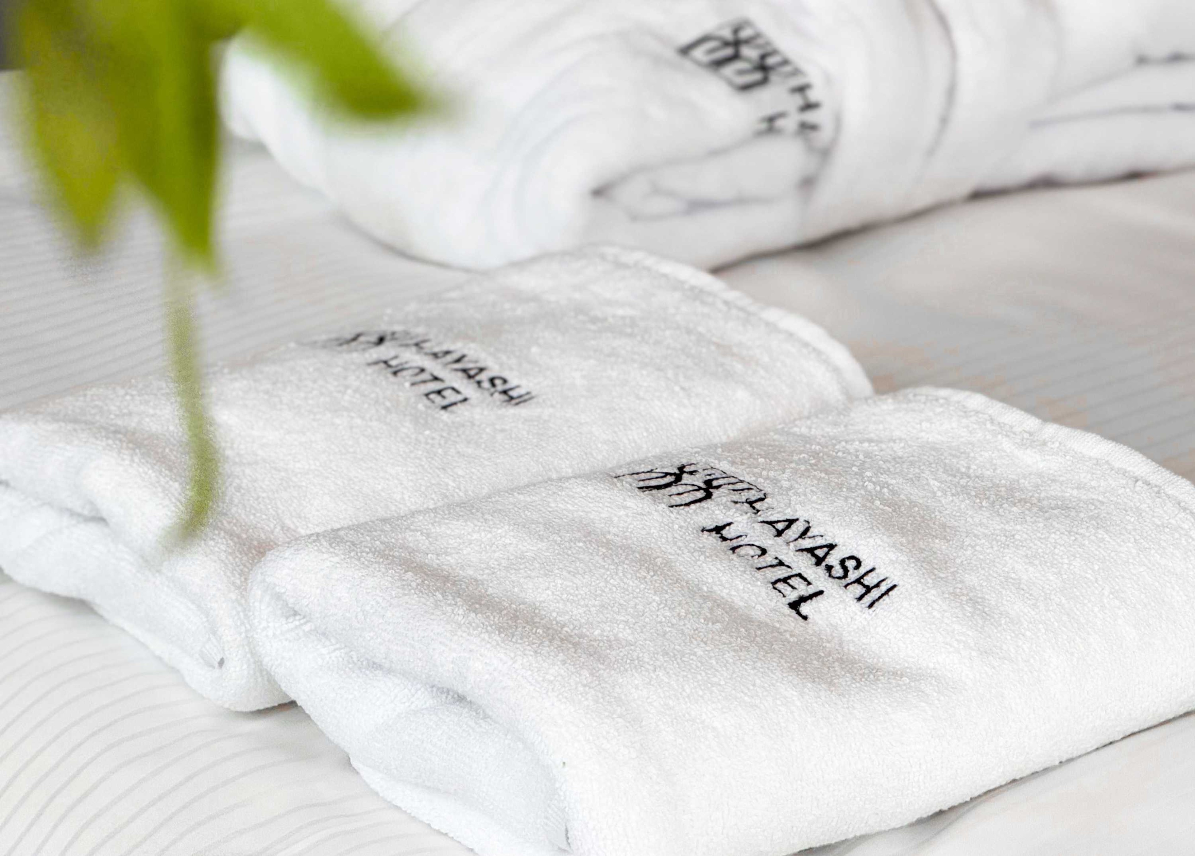 Scoutaround White Logo