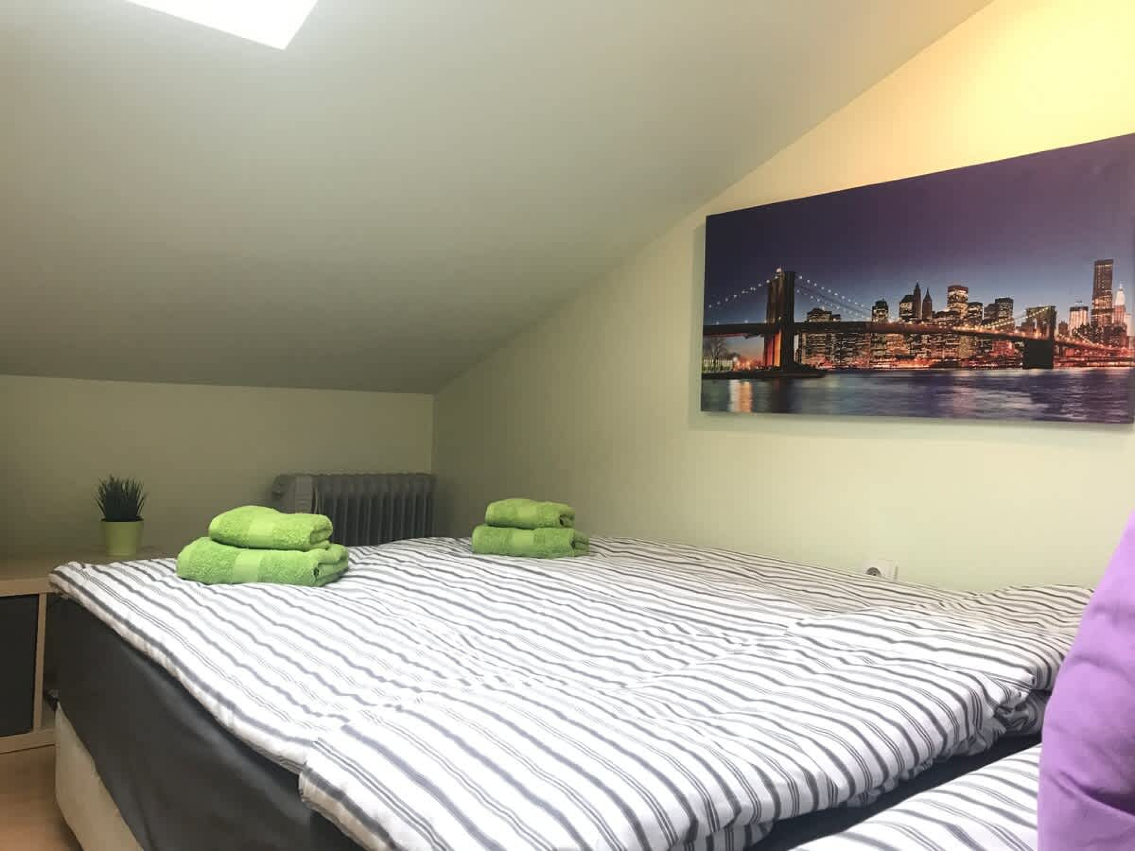 Scoutaround White Logo