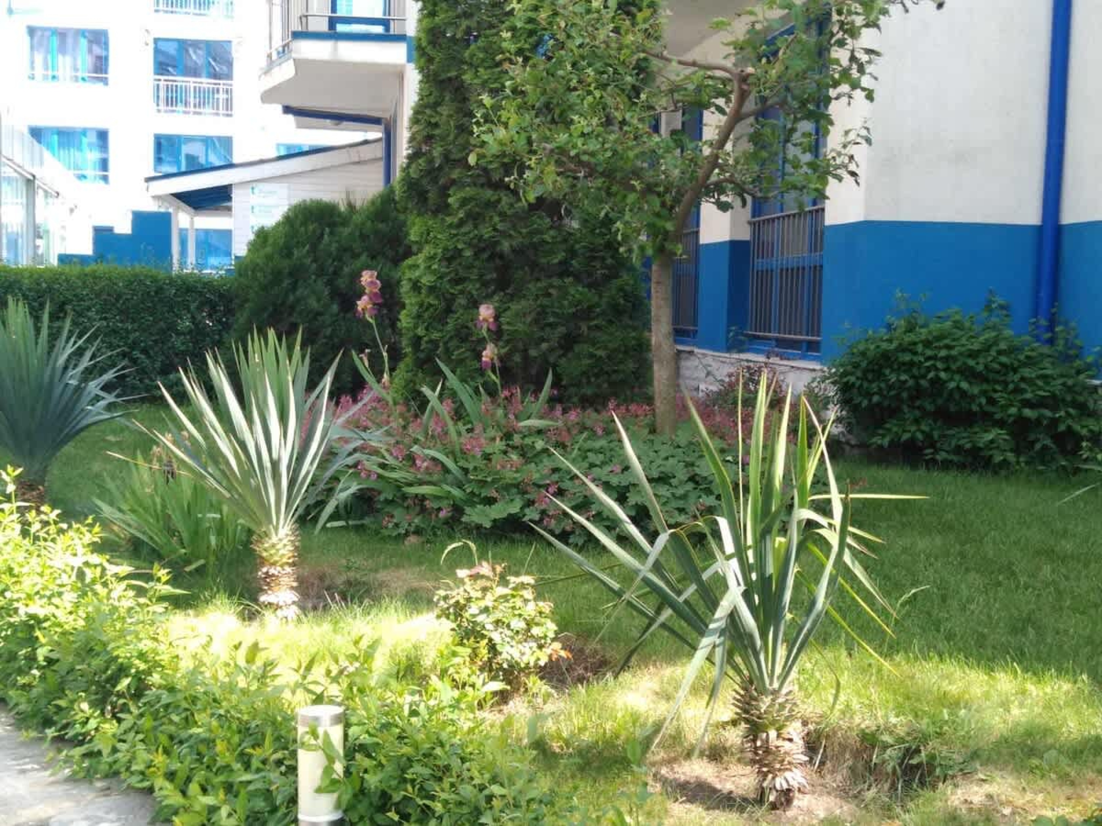 Scoutaround White Logo