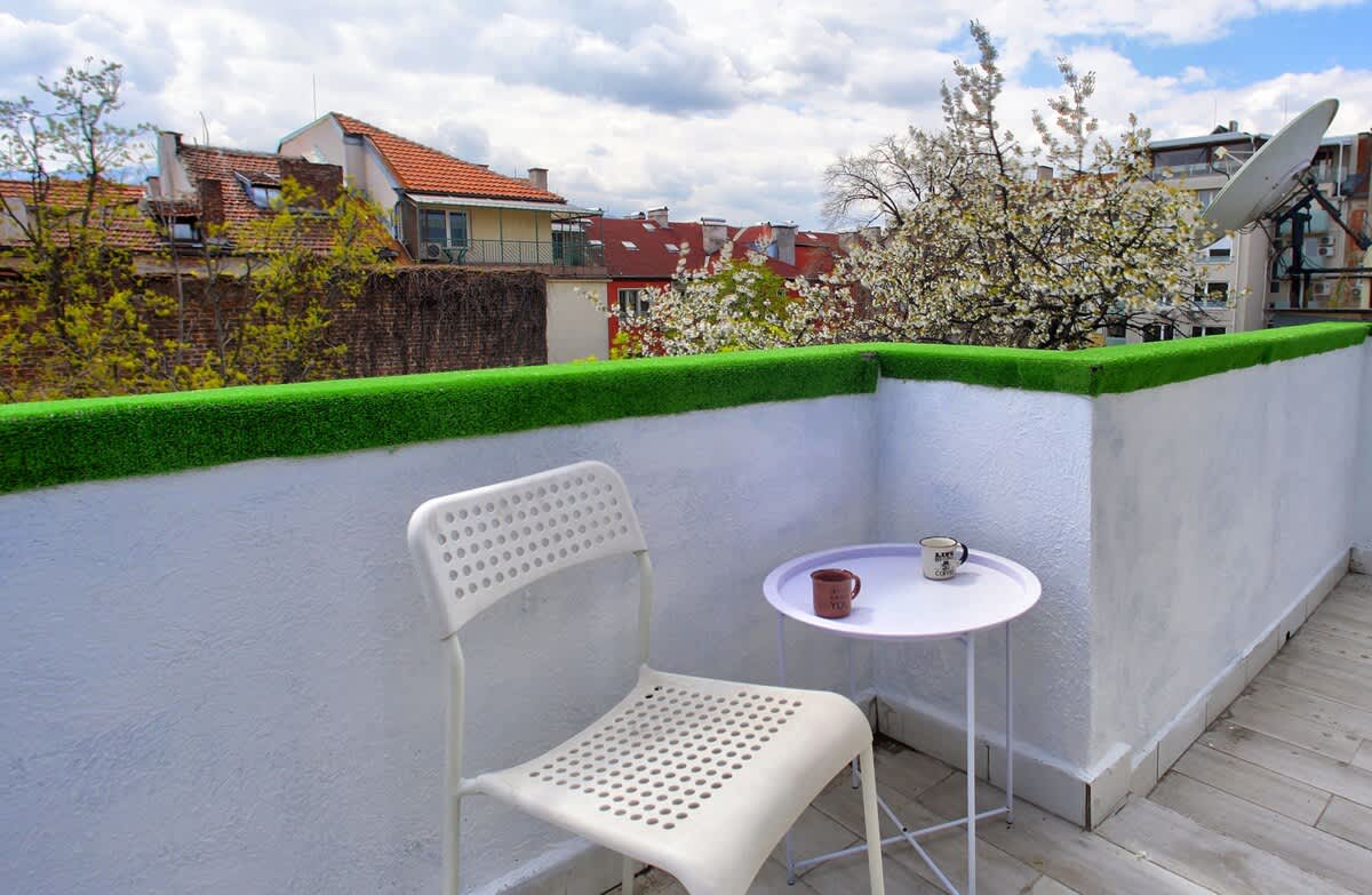 Scoutaround White Logo