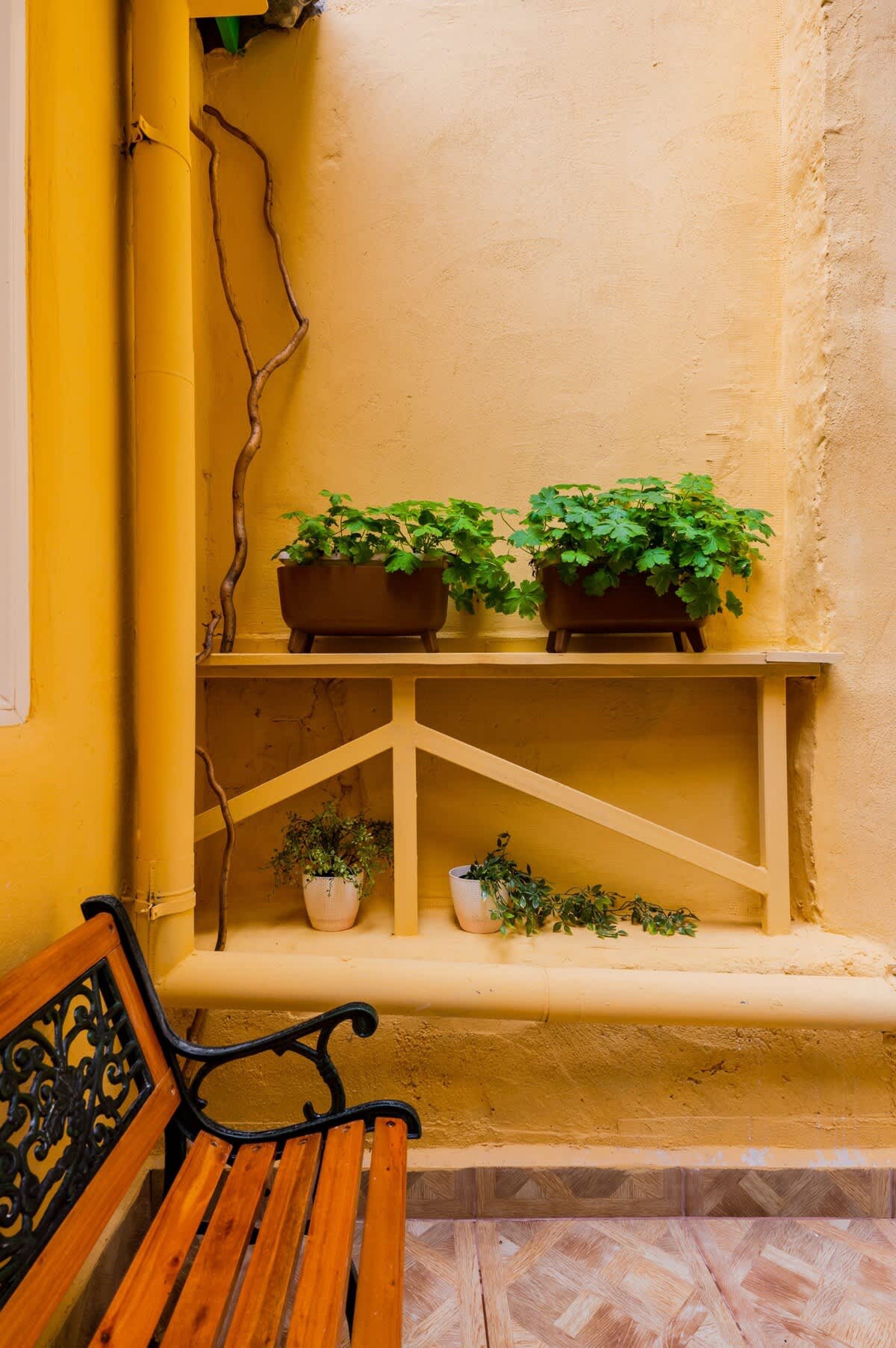 Scoutaround White Logo