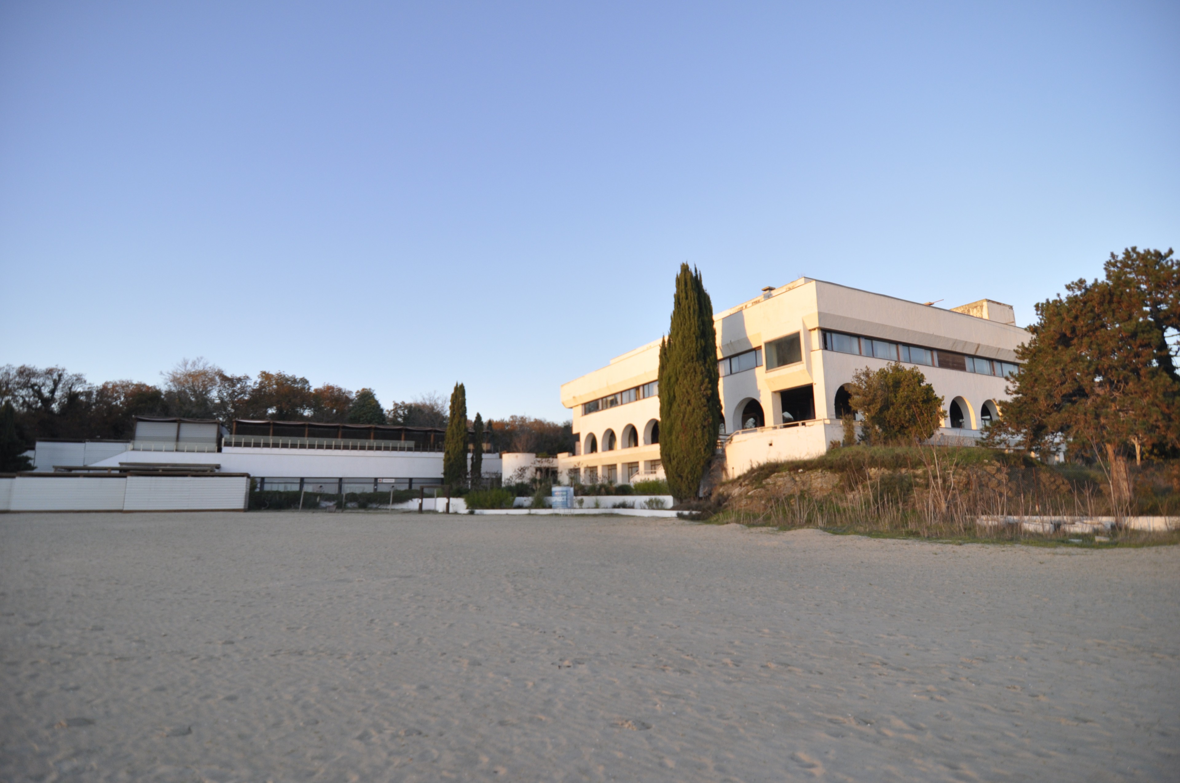 Scoutaround White Logo