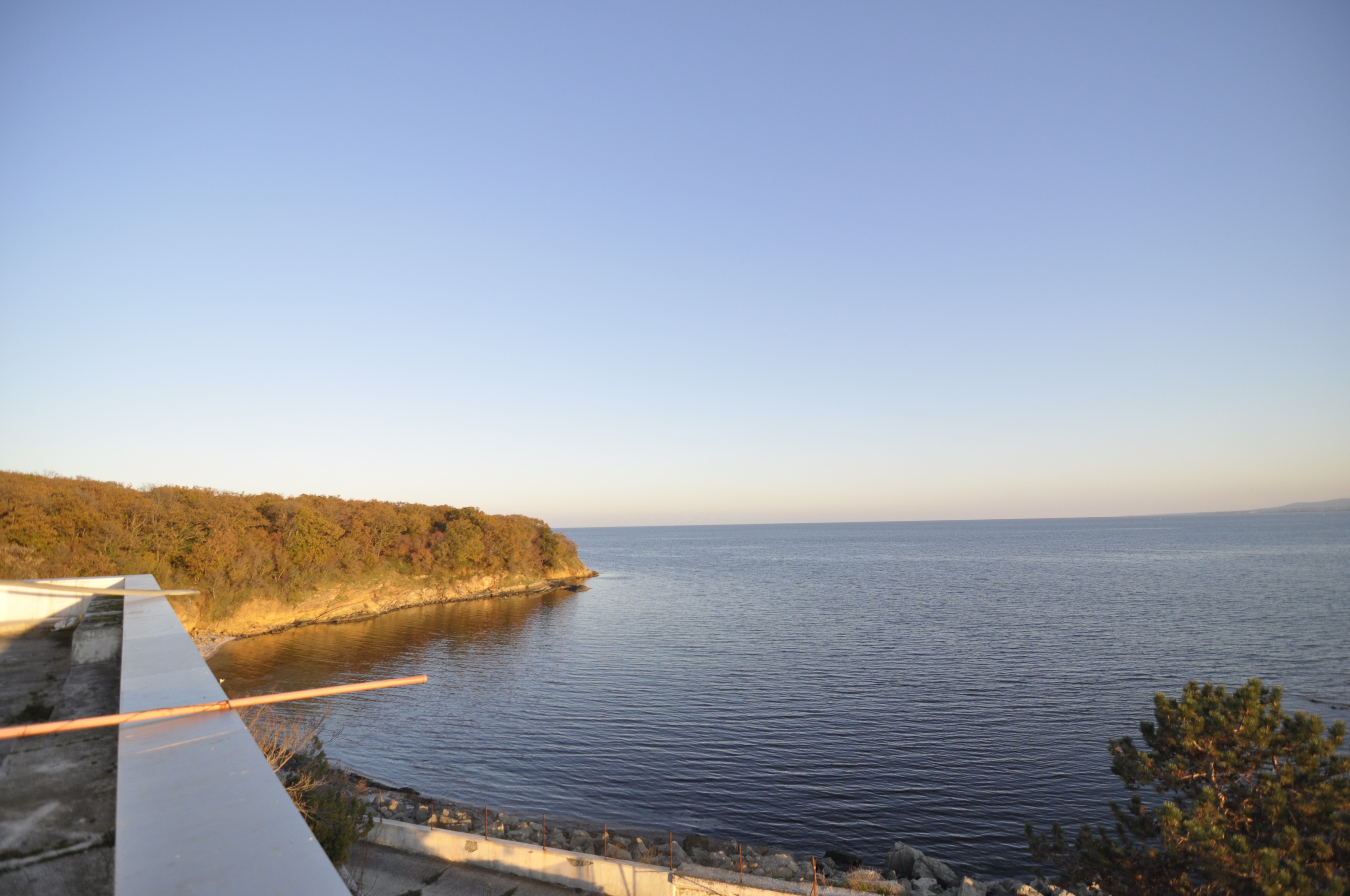 Scoutaround White Logo