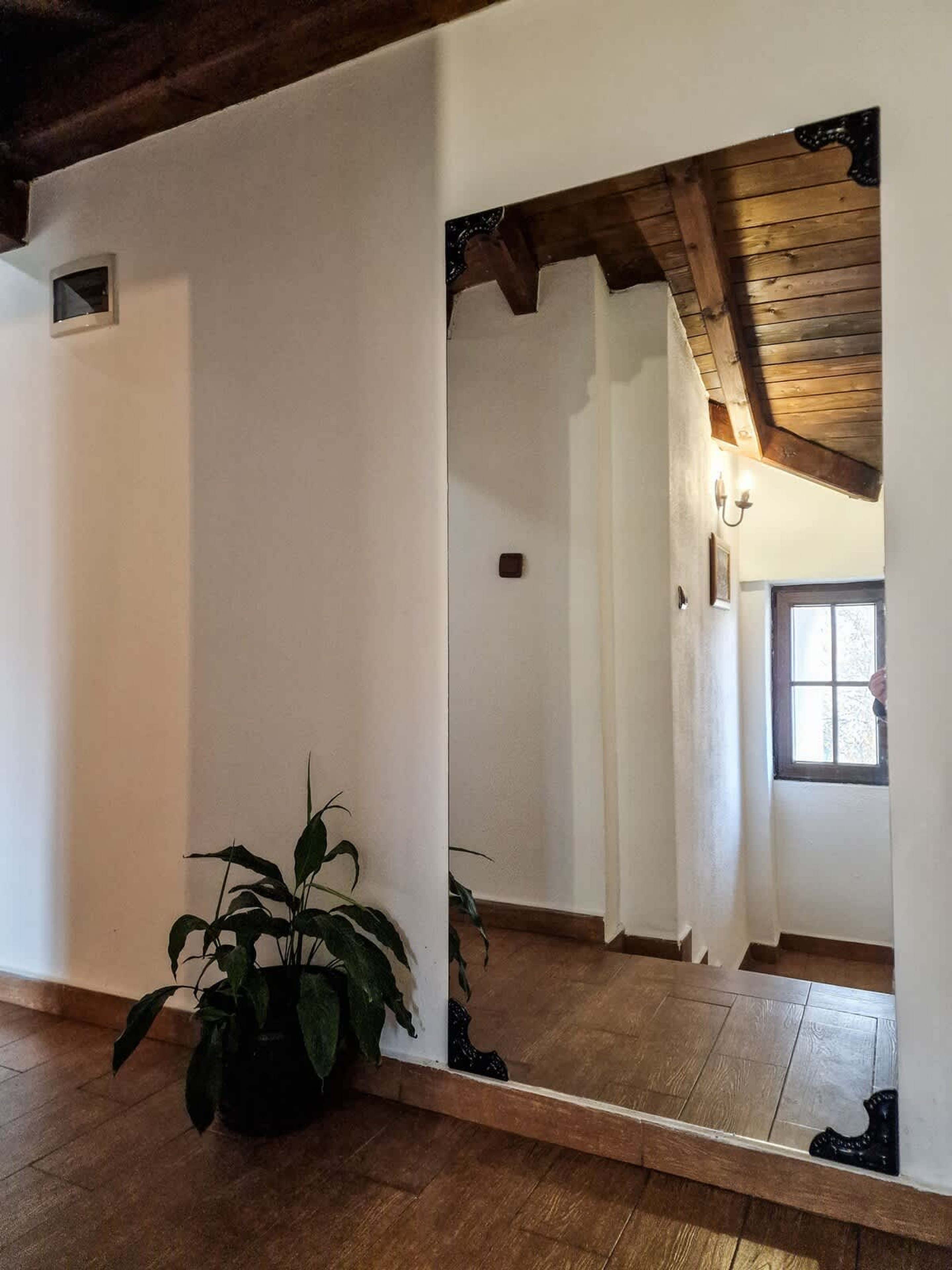 Scoutaround White Logo