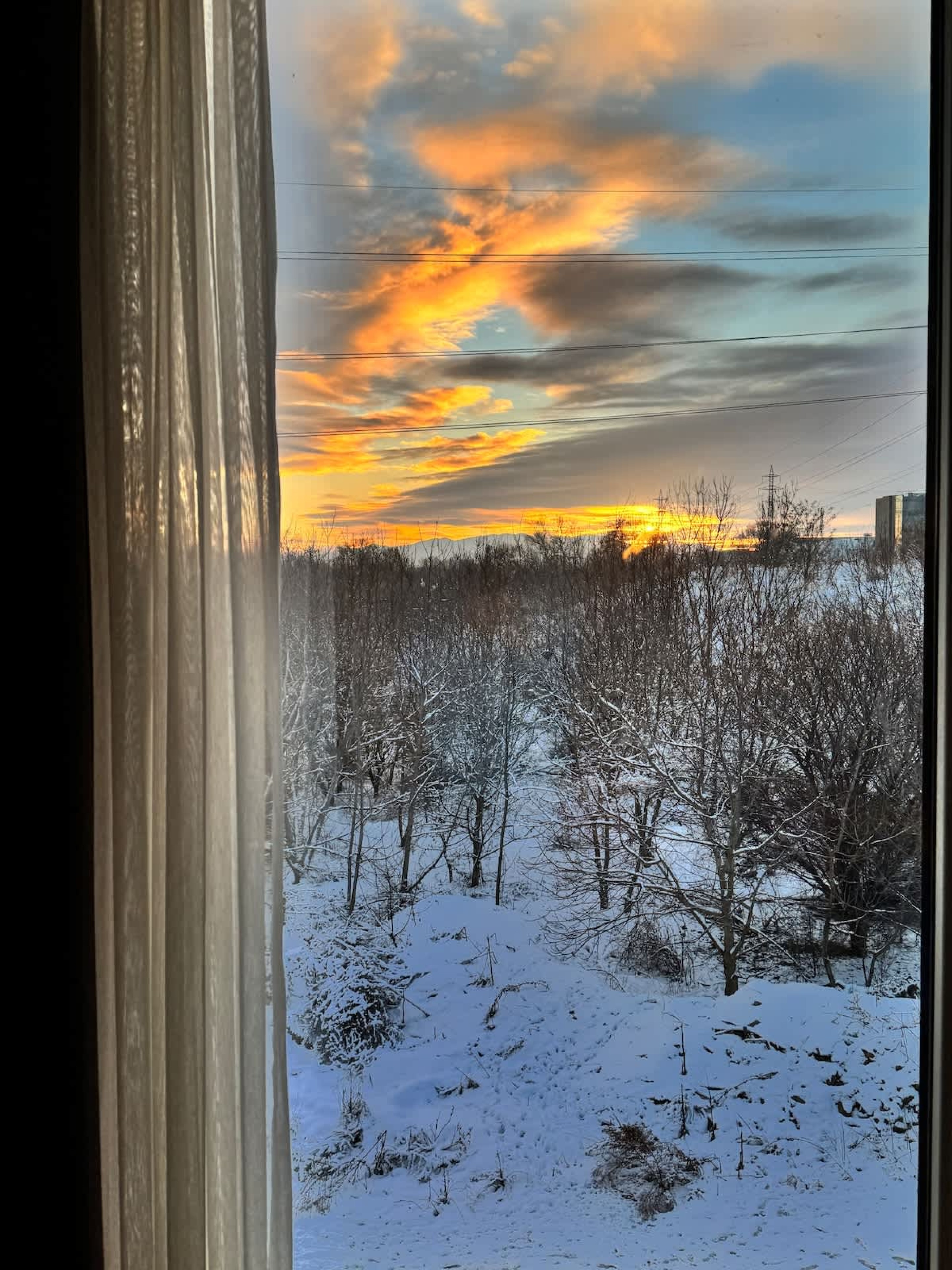 Scoutaround White Logo