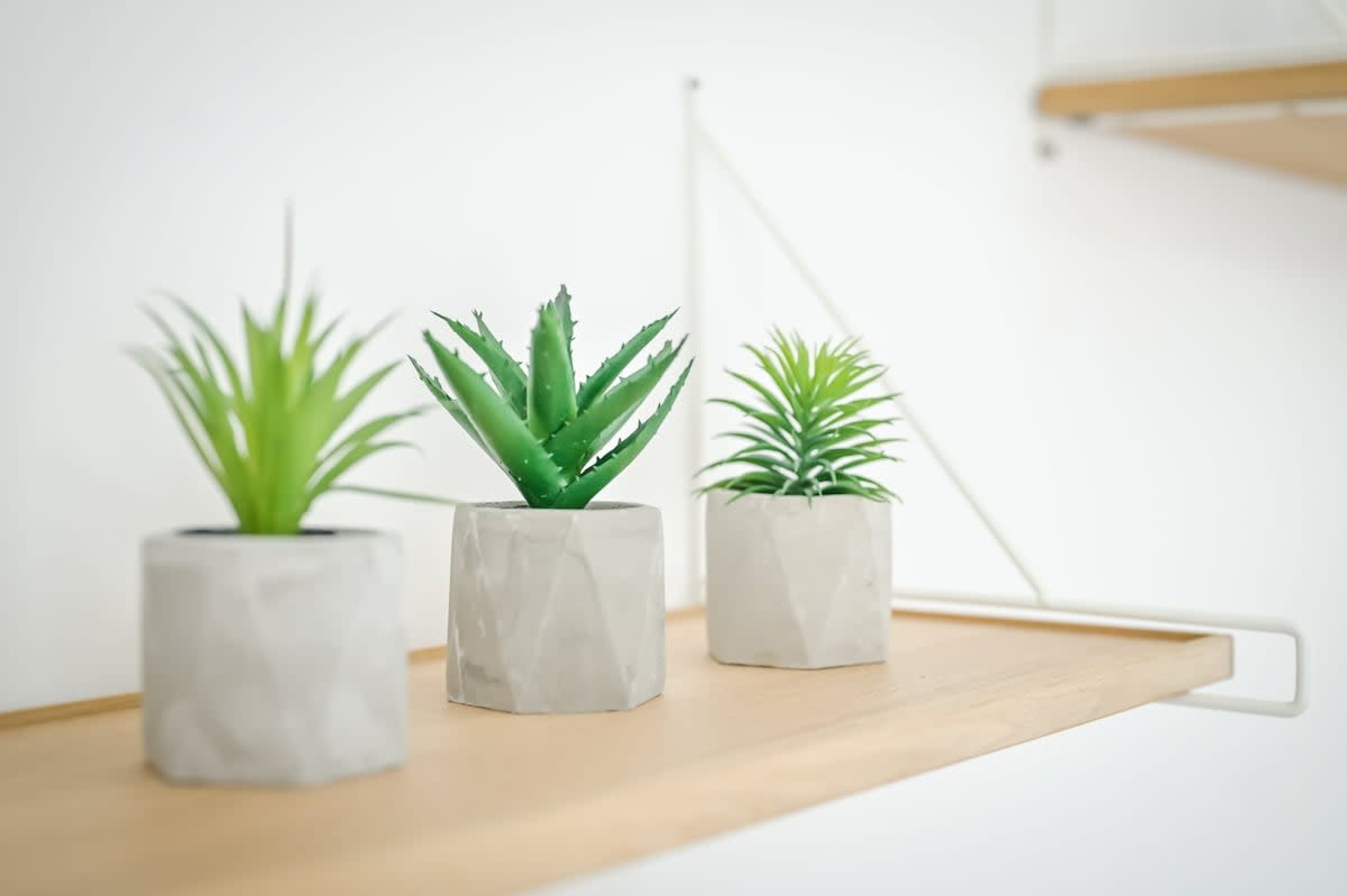 Scoutaround White Logo