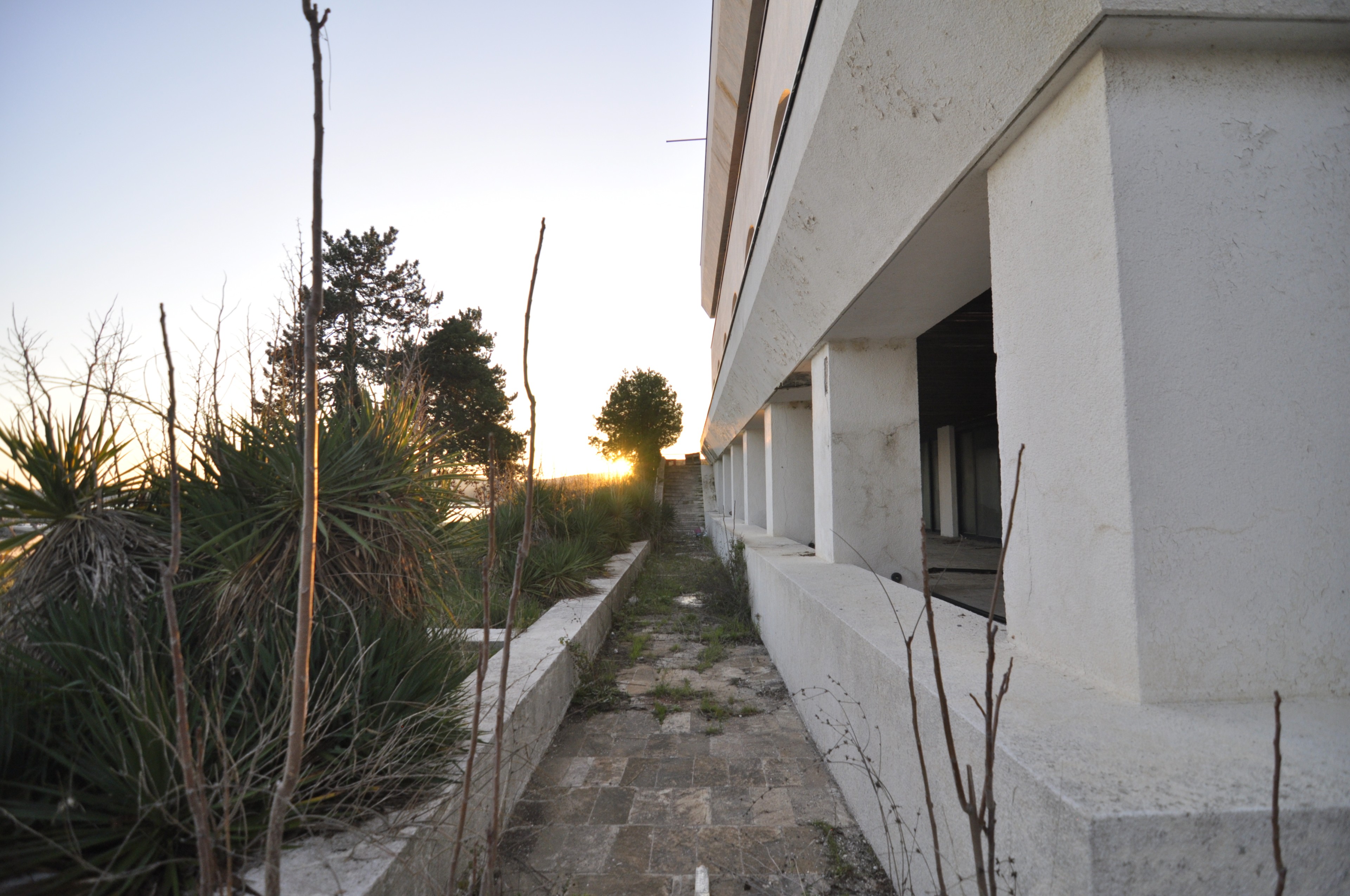 Scoutaround White Logo