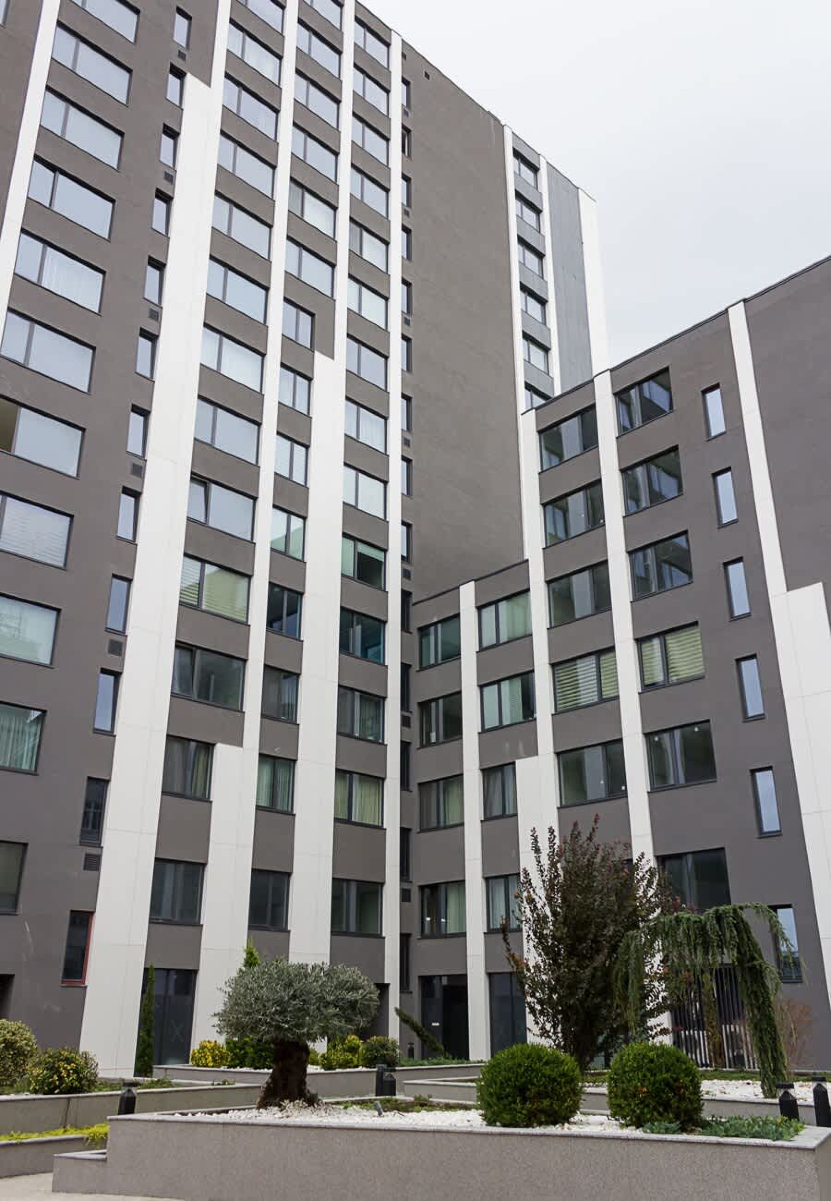 Scoutaround White Logo