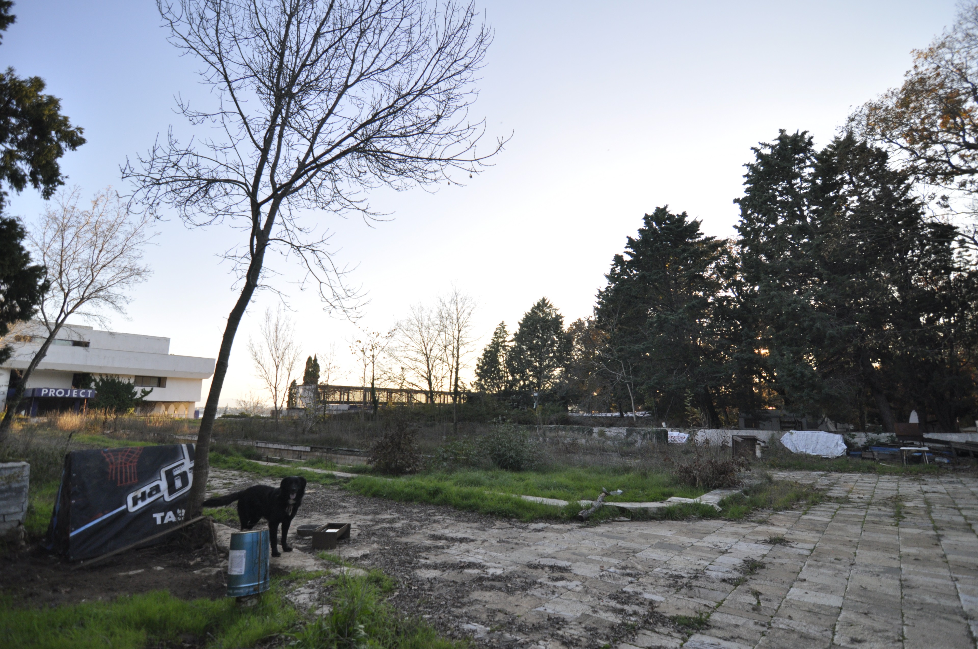 Scoutaround White Logo