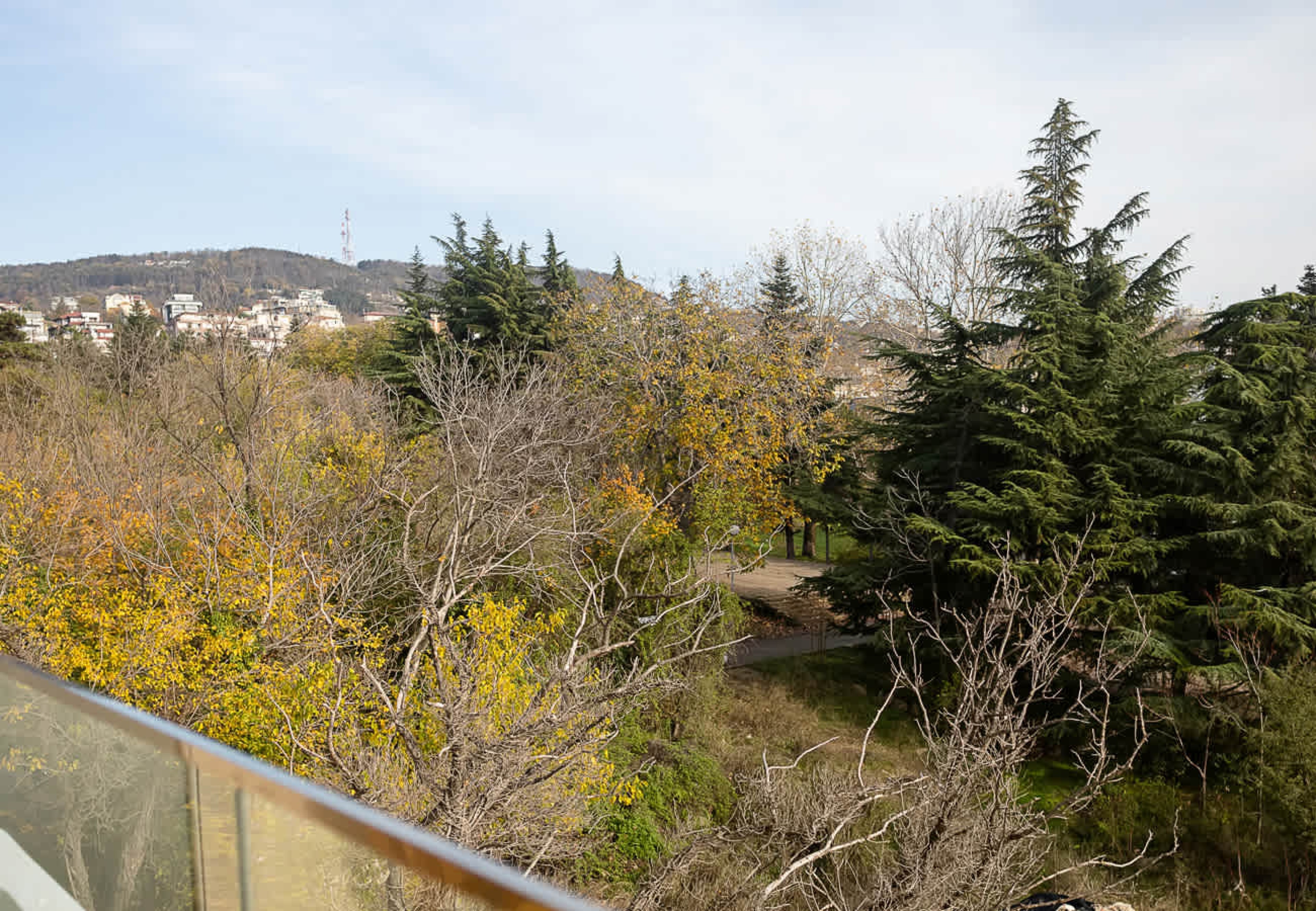 Scoutaround White Logo