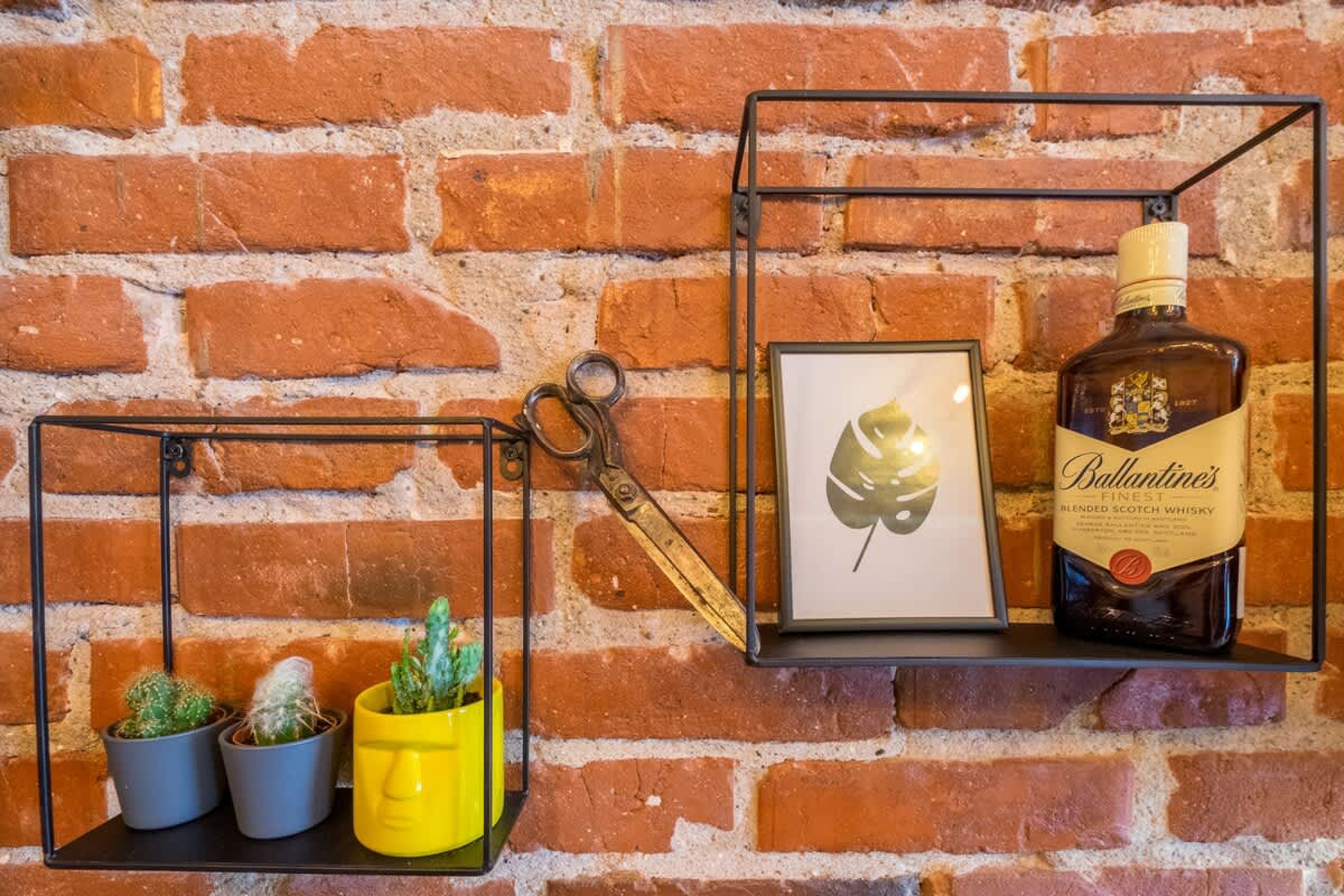 Scoutaround White Logo