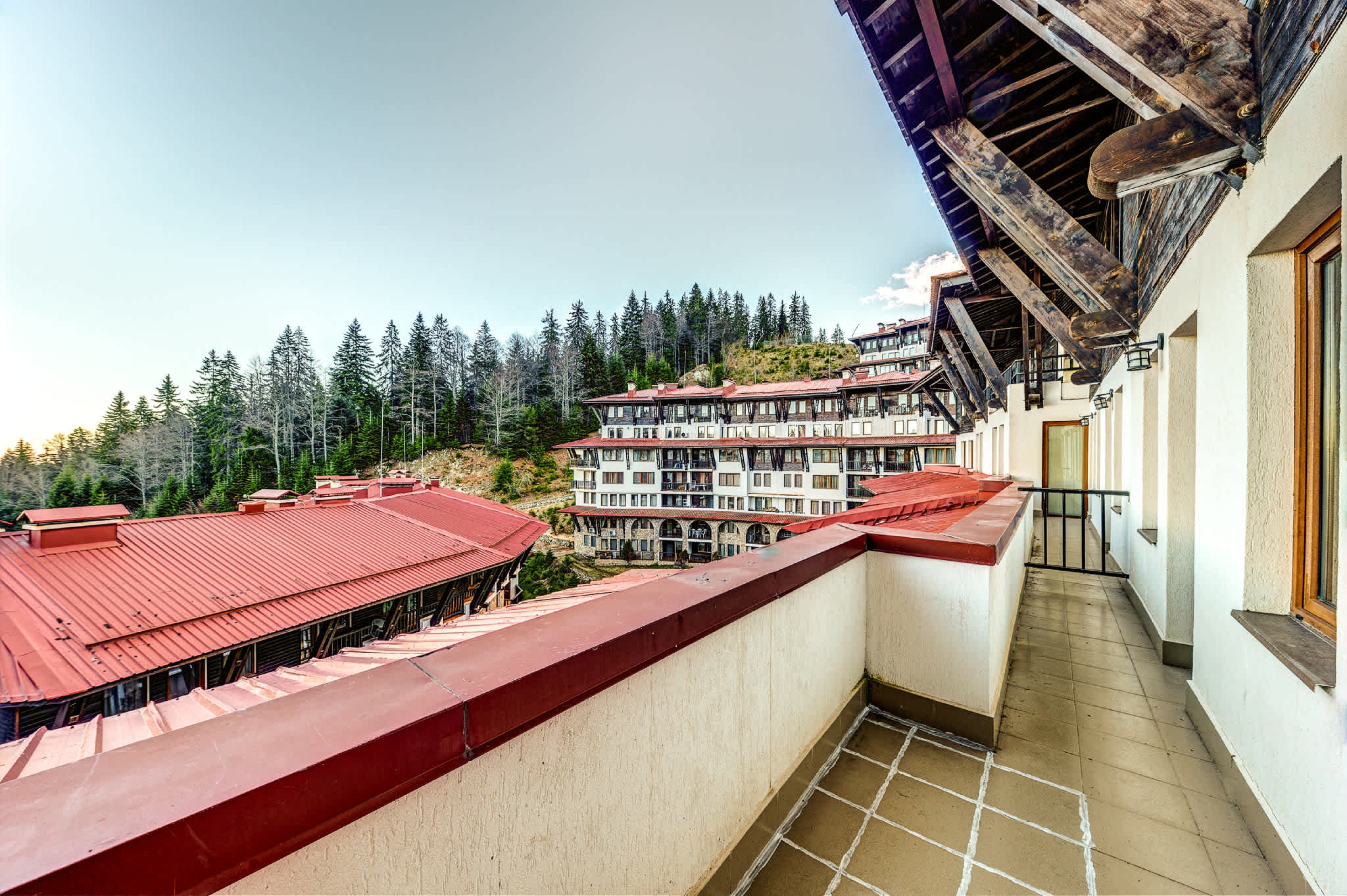 Scoutaround White Logo