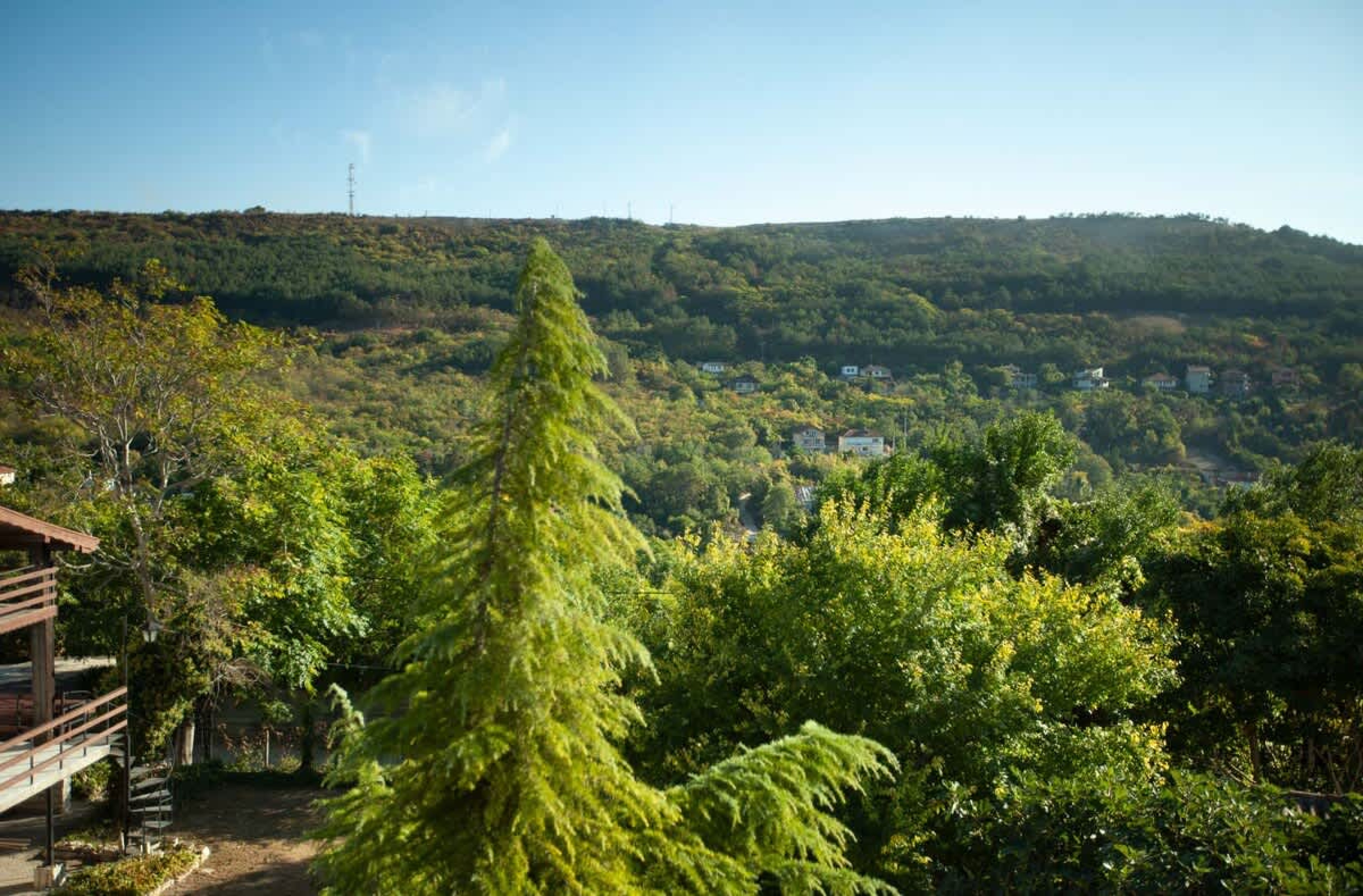 Scoutaround White Logo