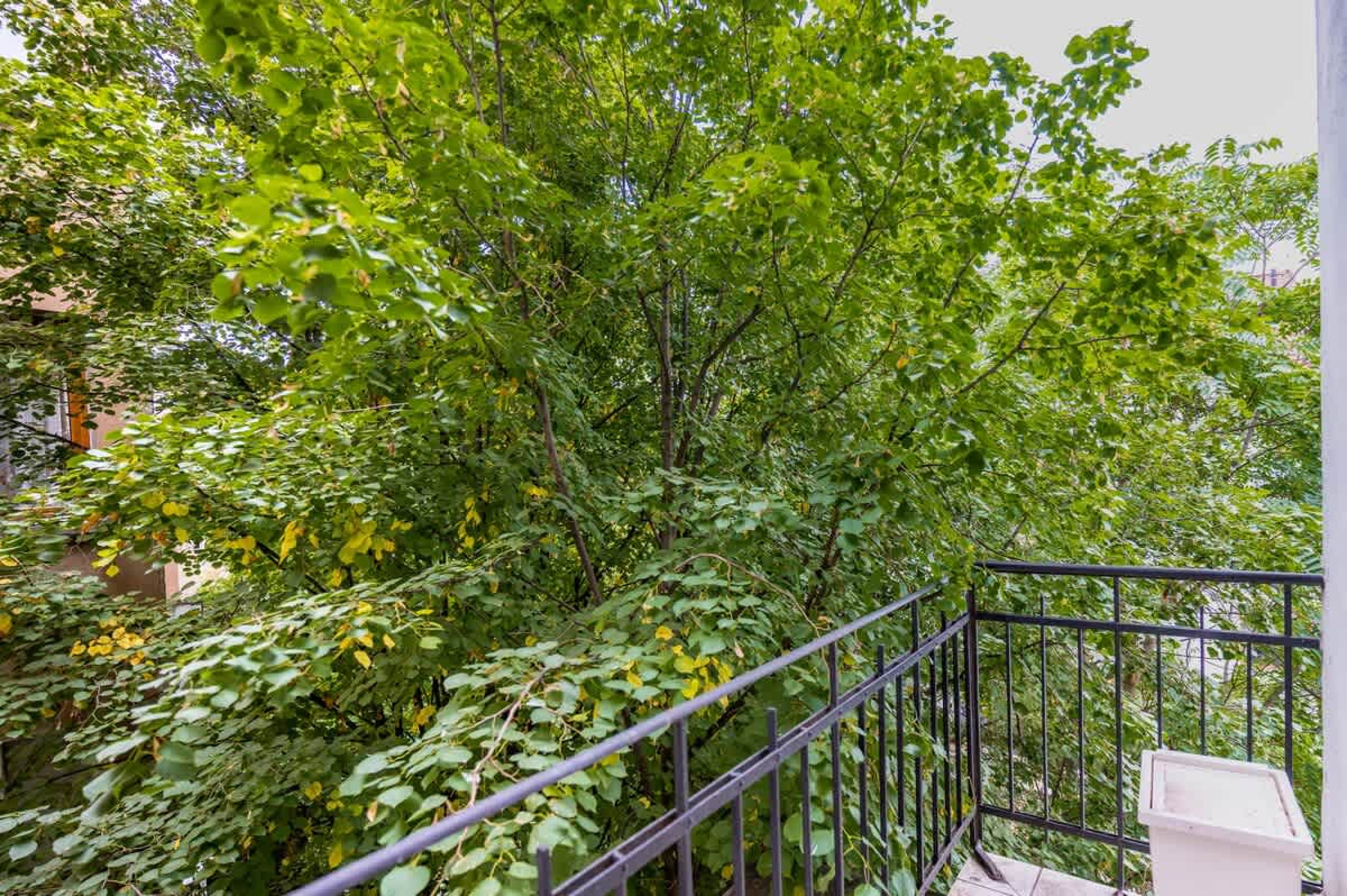 Scoutaround White Logo