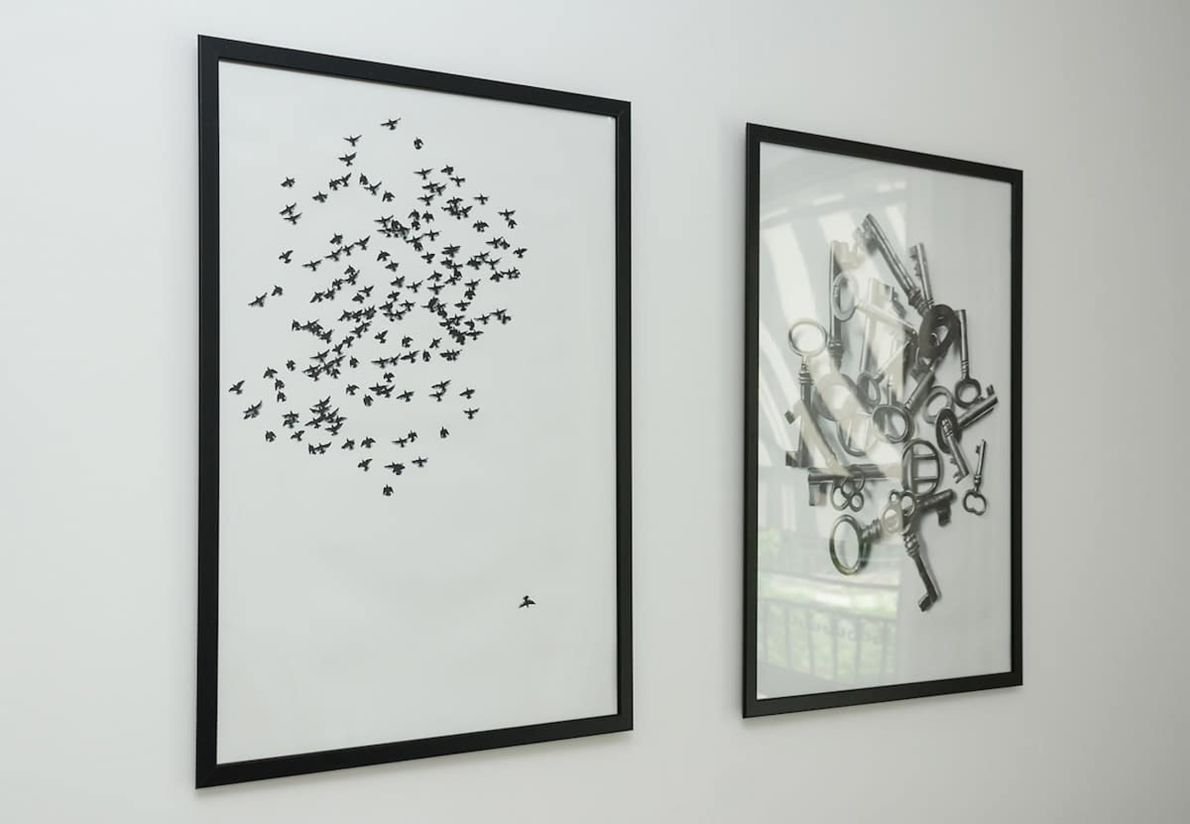 Scoutaround White Logo