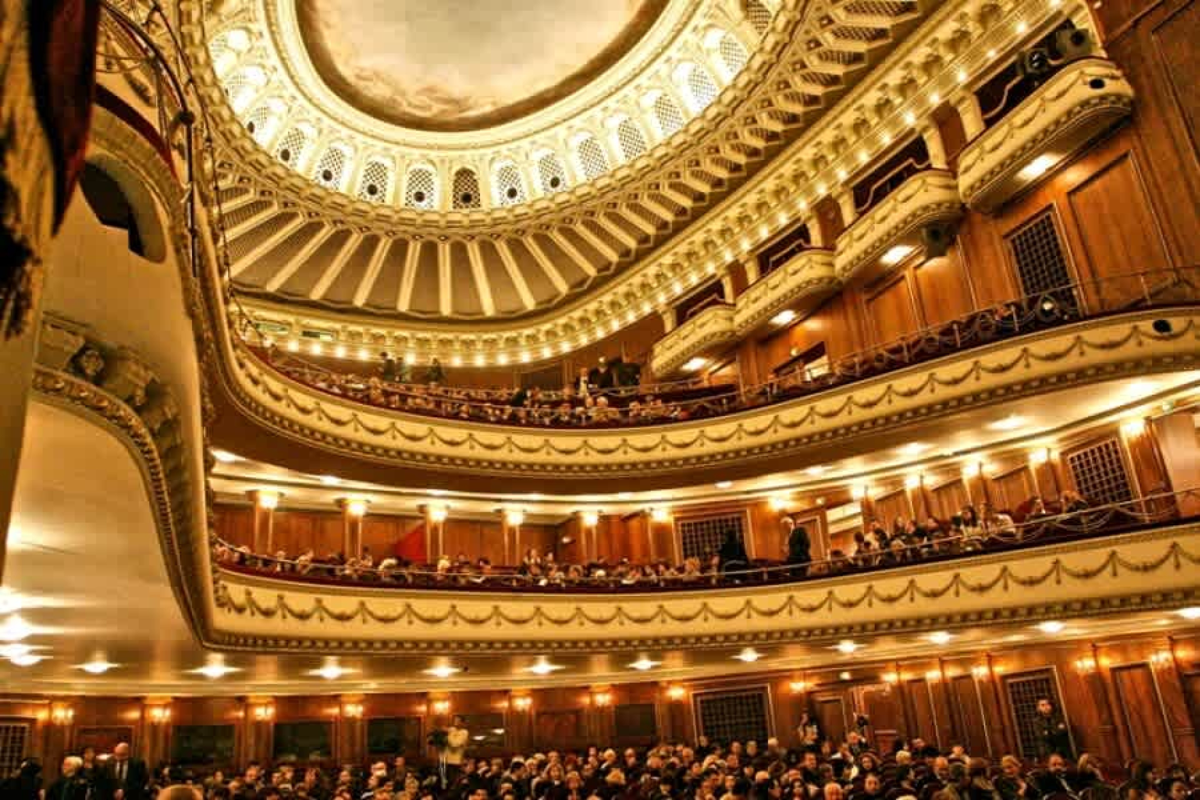 Scoutaround White Logo