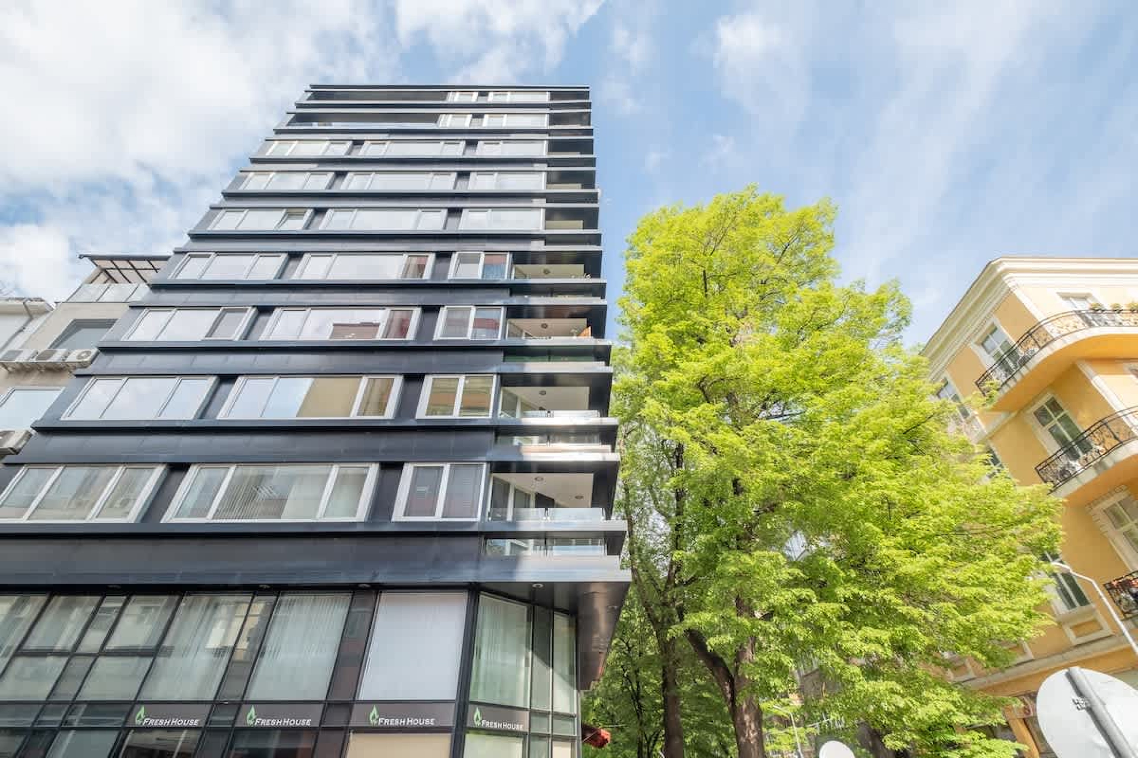 Scoutaround White Logo