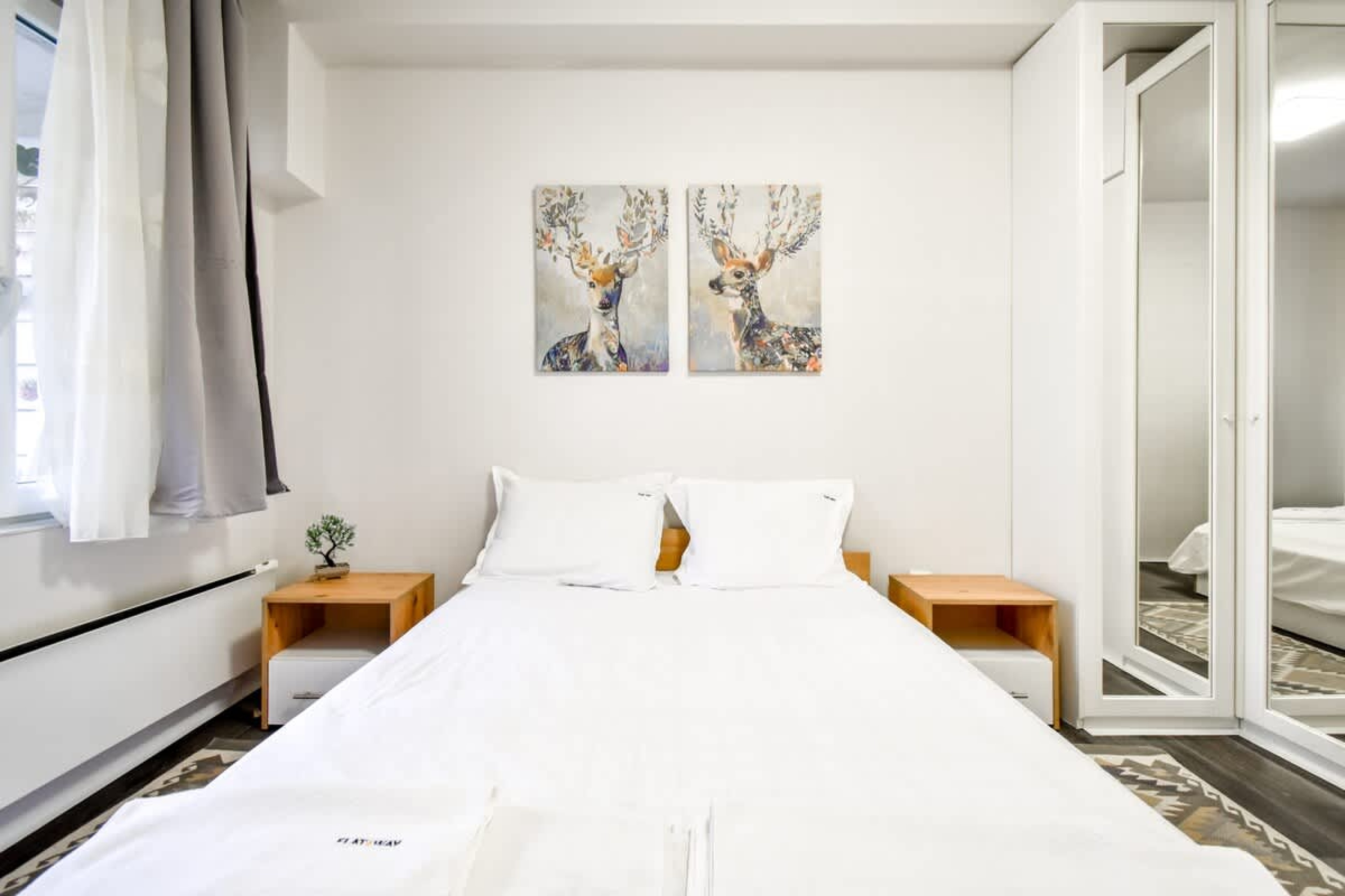 Scoutaround White Logo