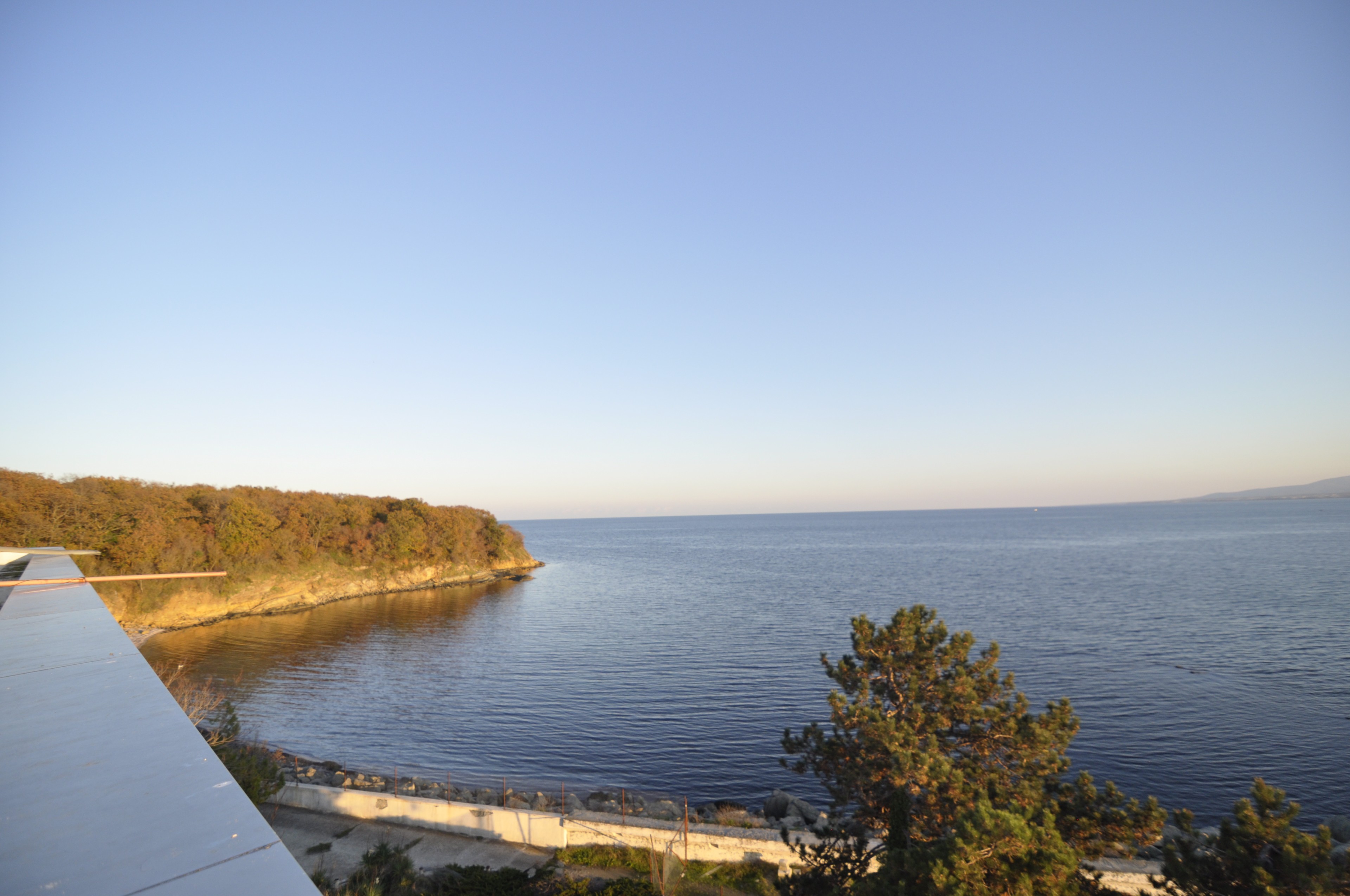 Scoutaround White Logo