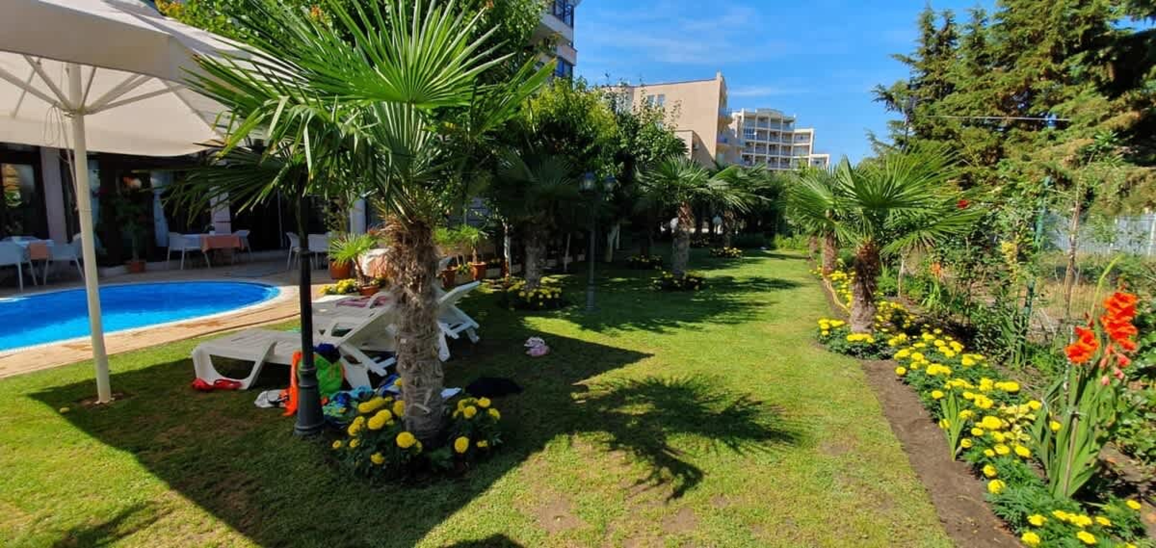 Scoutaround White Logo