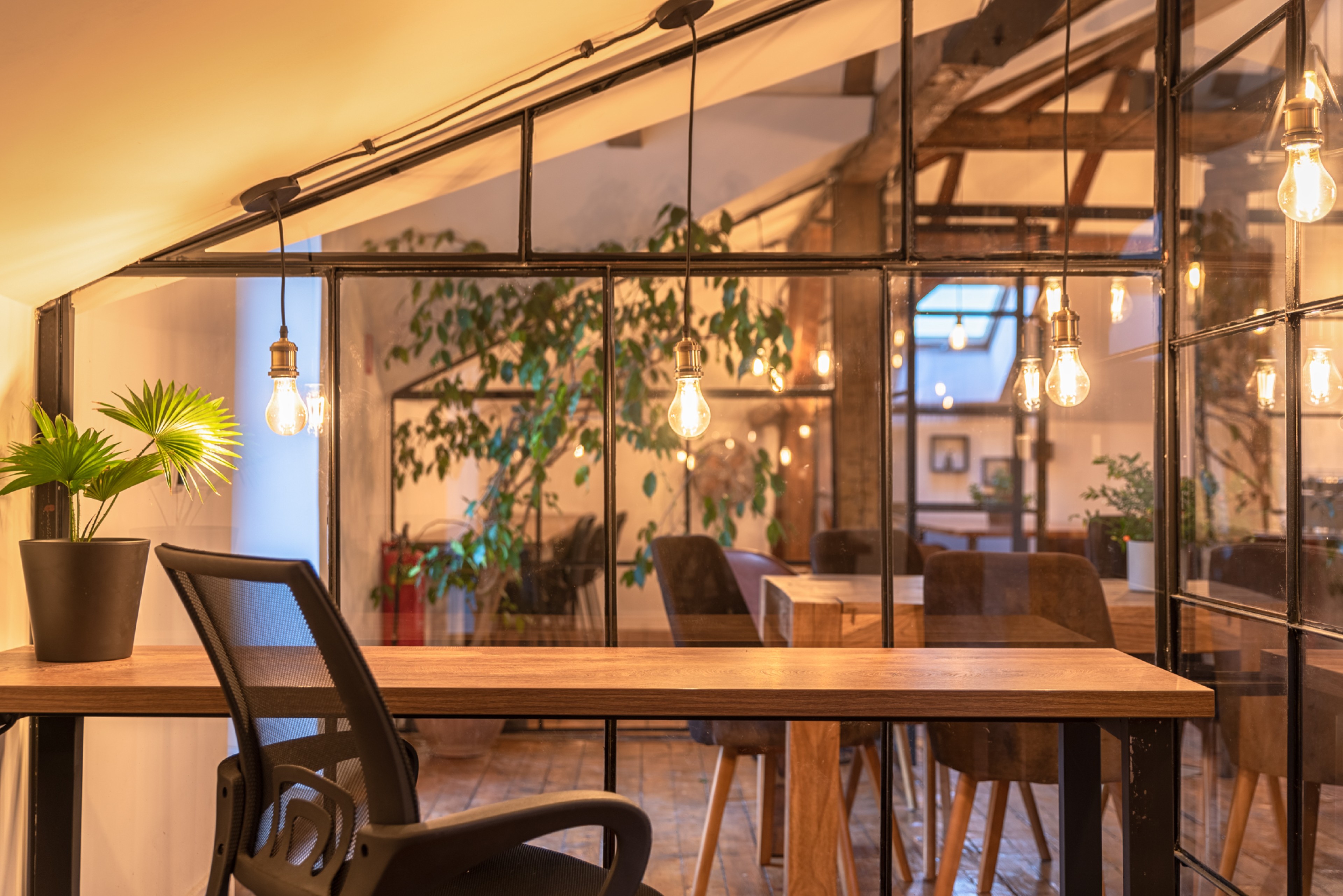 Scoutaround White Logo