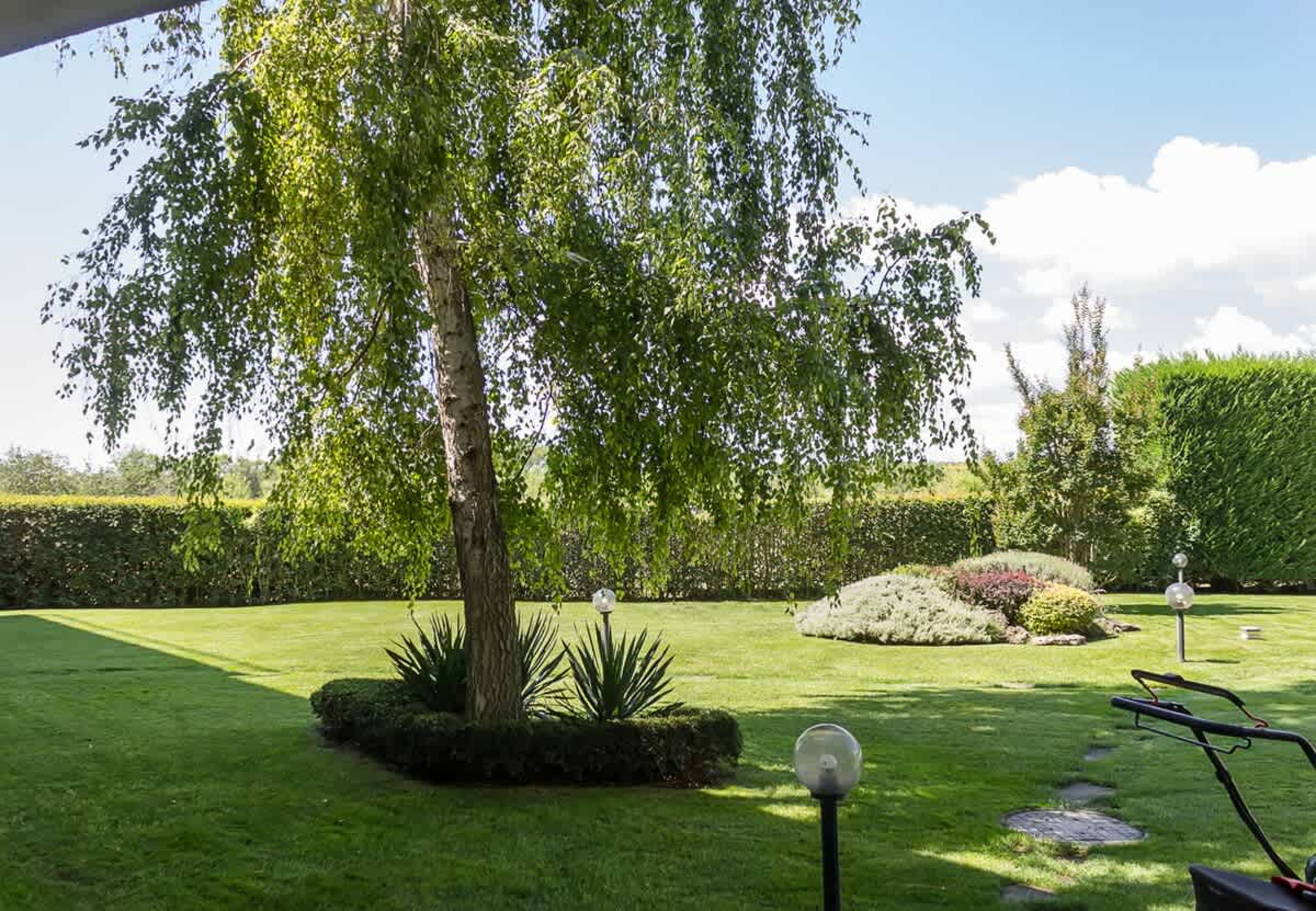 Scoutaround White Logo