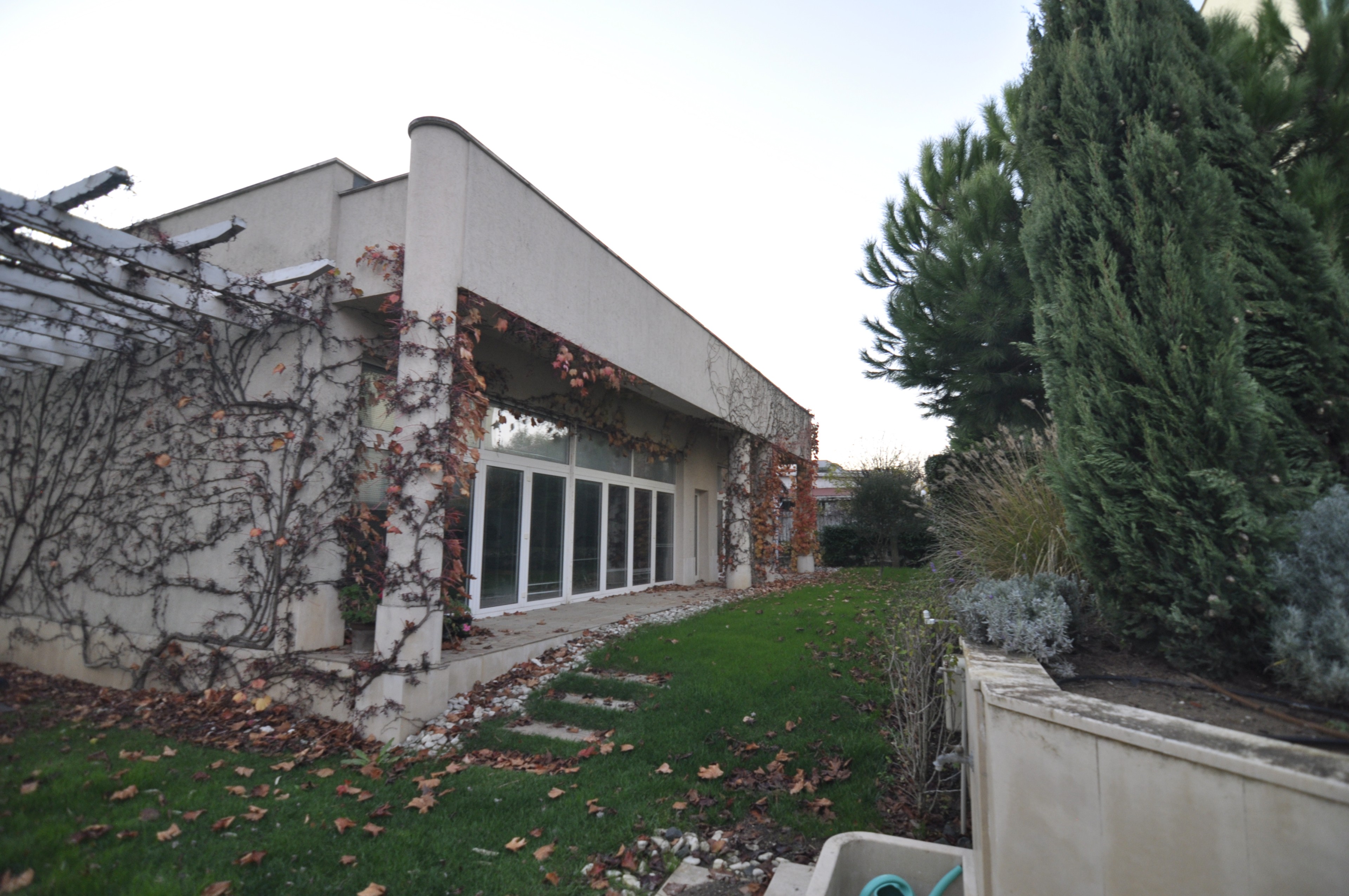 Scoutaround White Logo