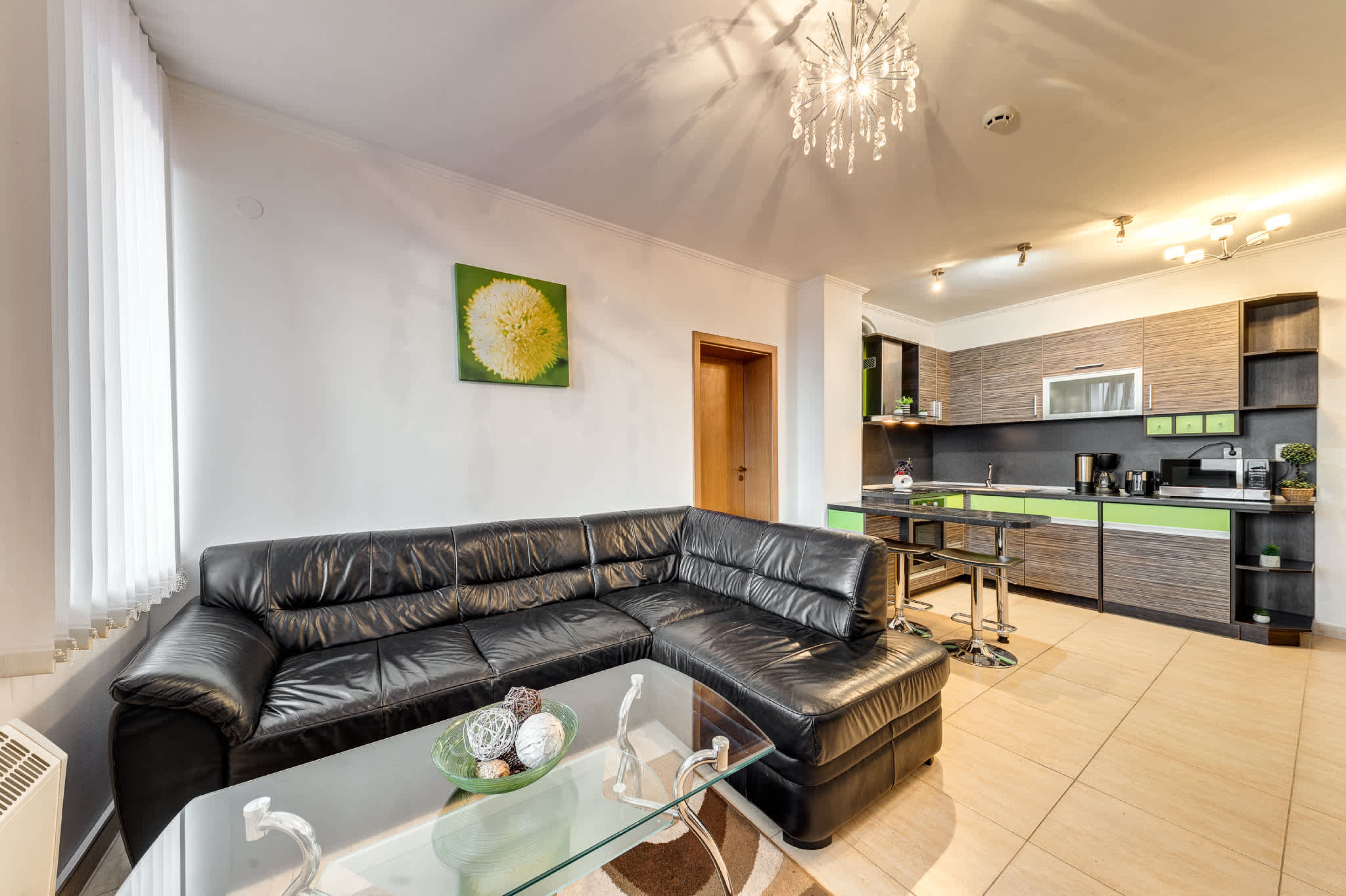 Scoutaround White Logo