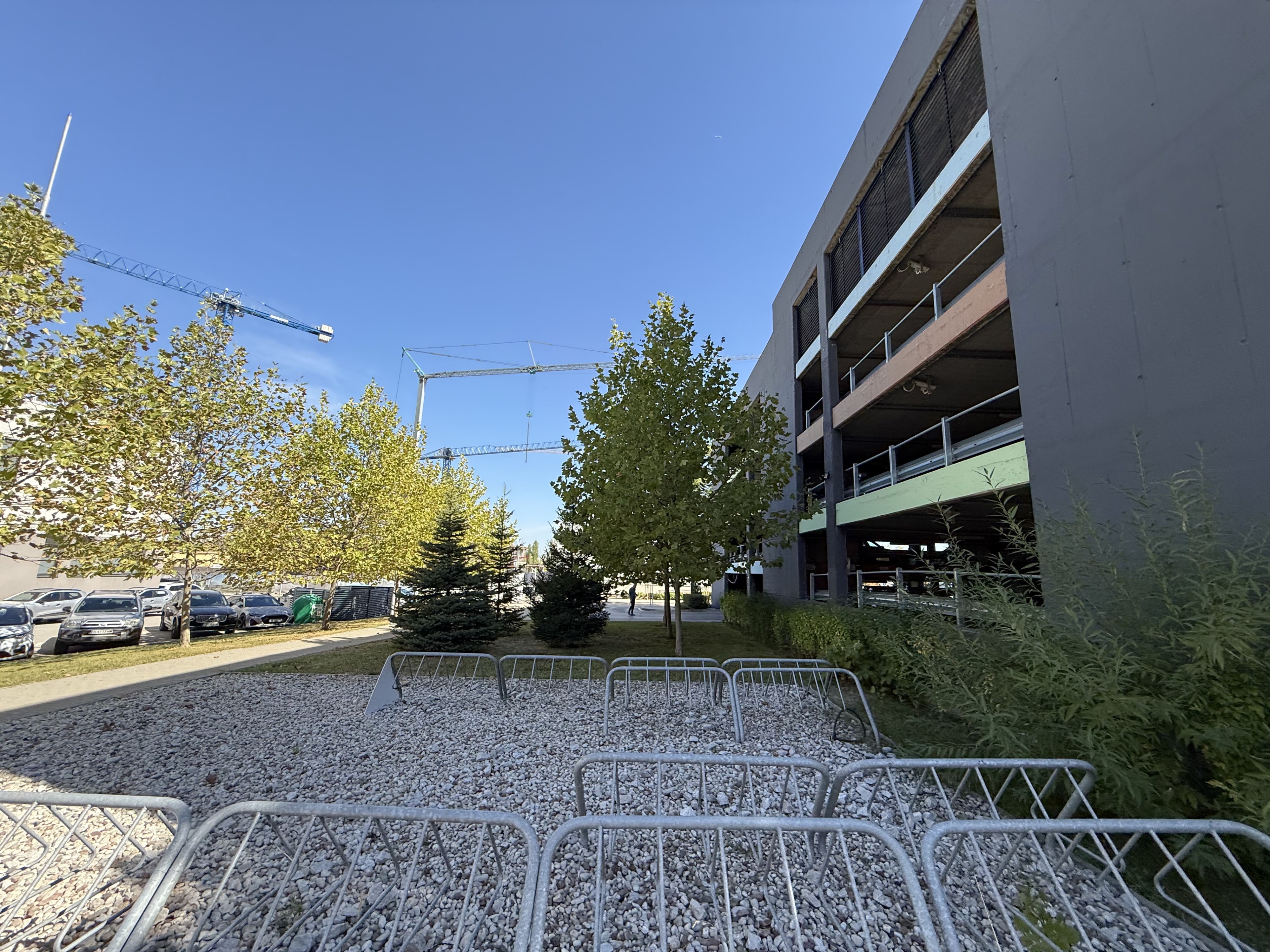 Scoutaround White Logo