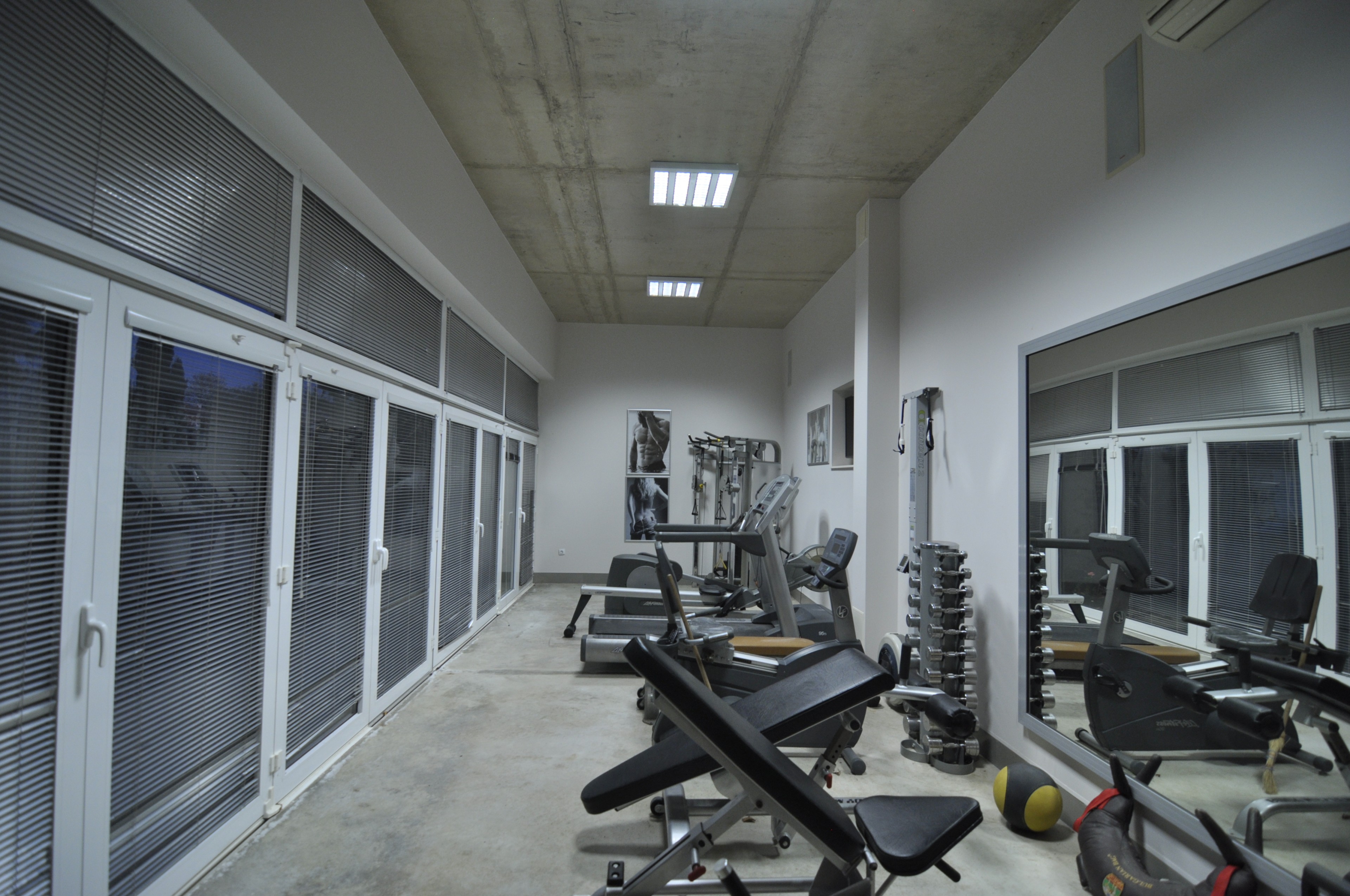 Scoutaround White Logo