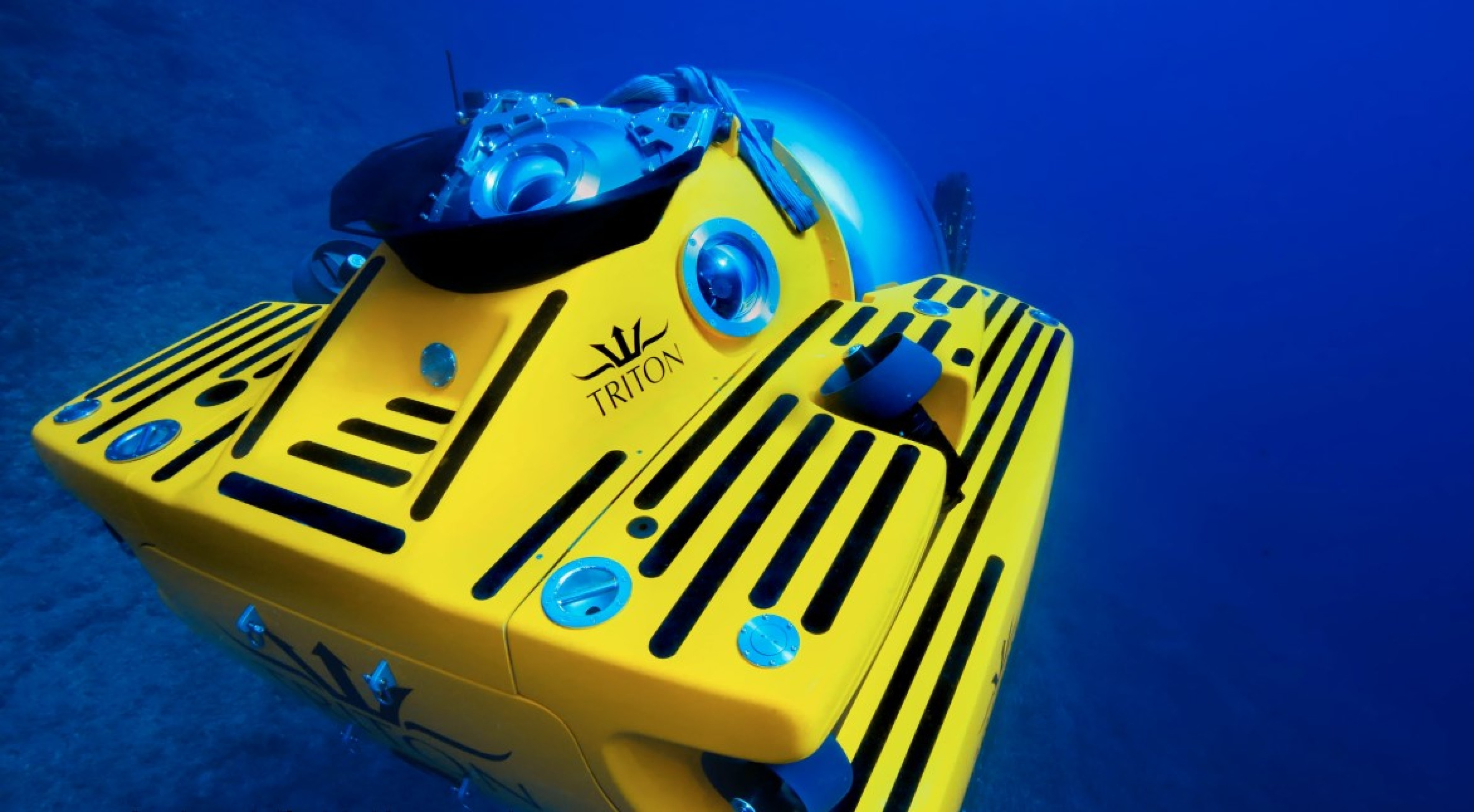 Scoutaround White Logo