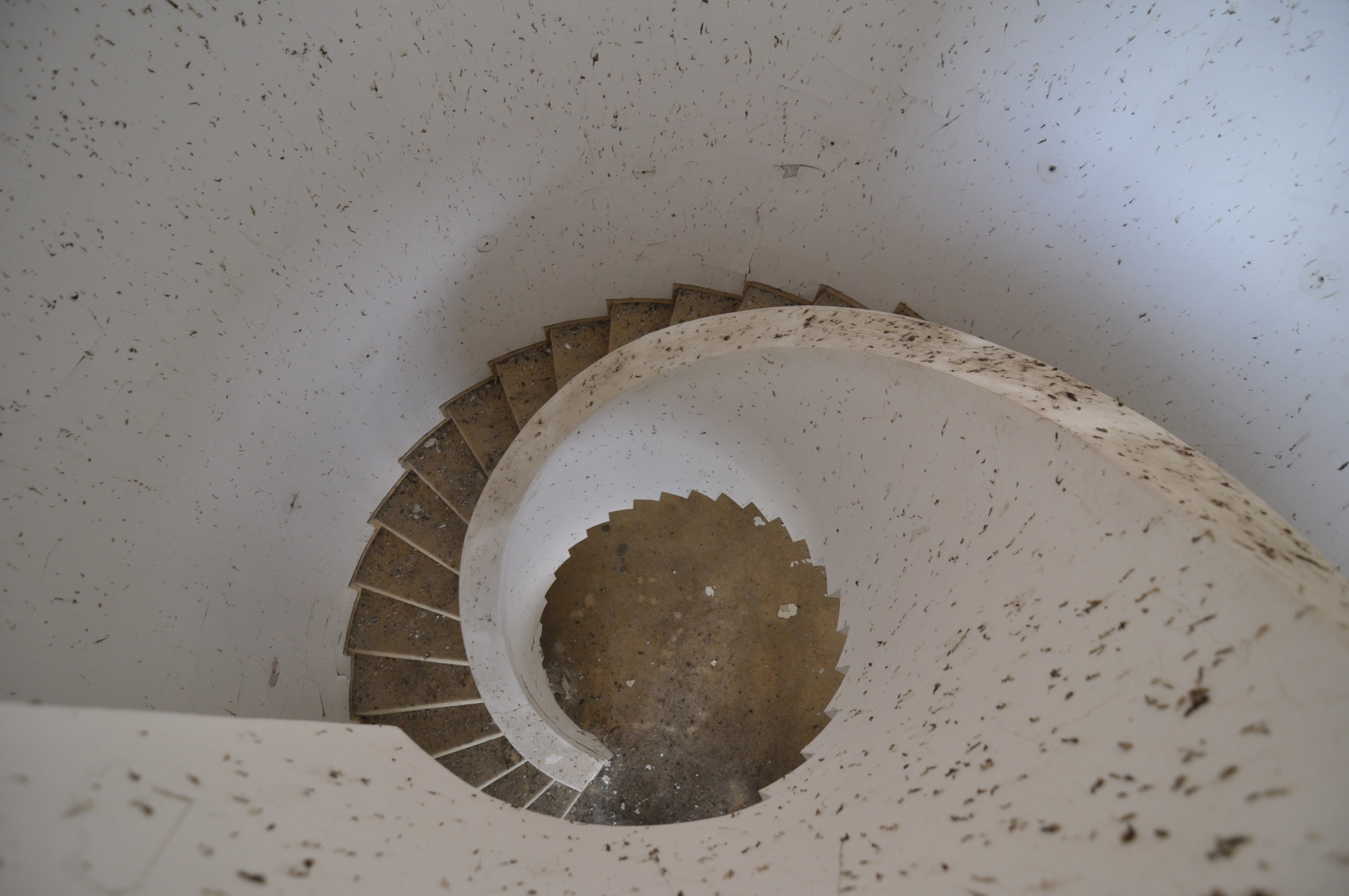 Scoutaround White Logo