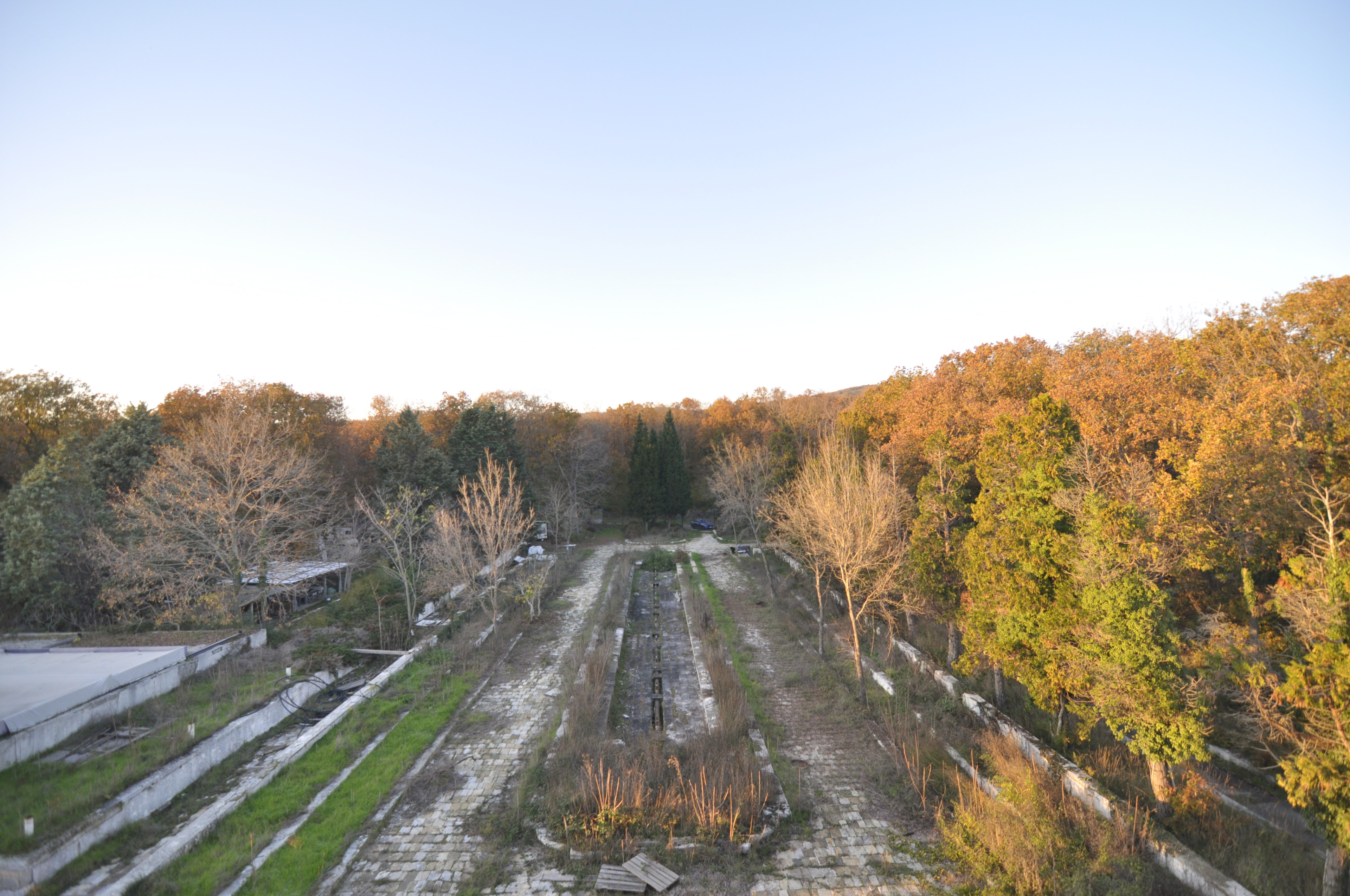 Scoutaround White Logo