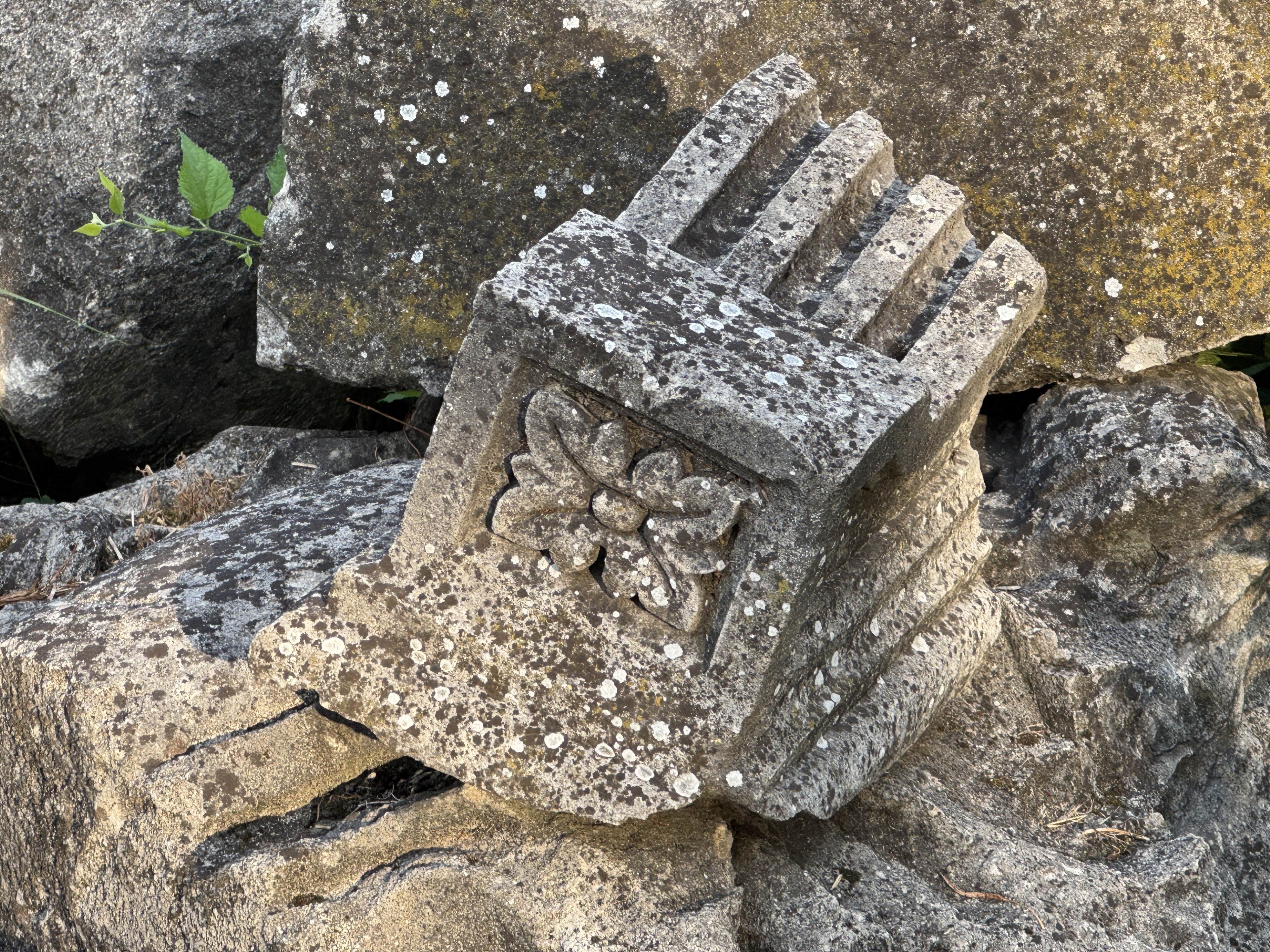 Scoutaround White Logo