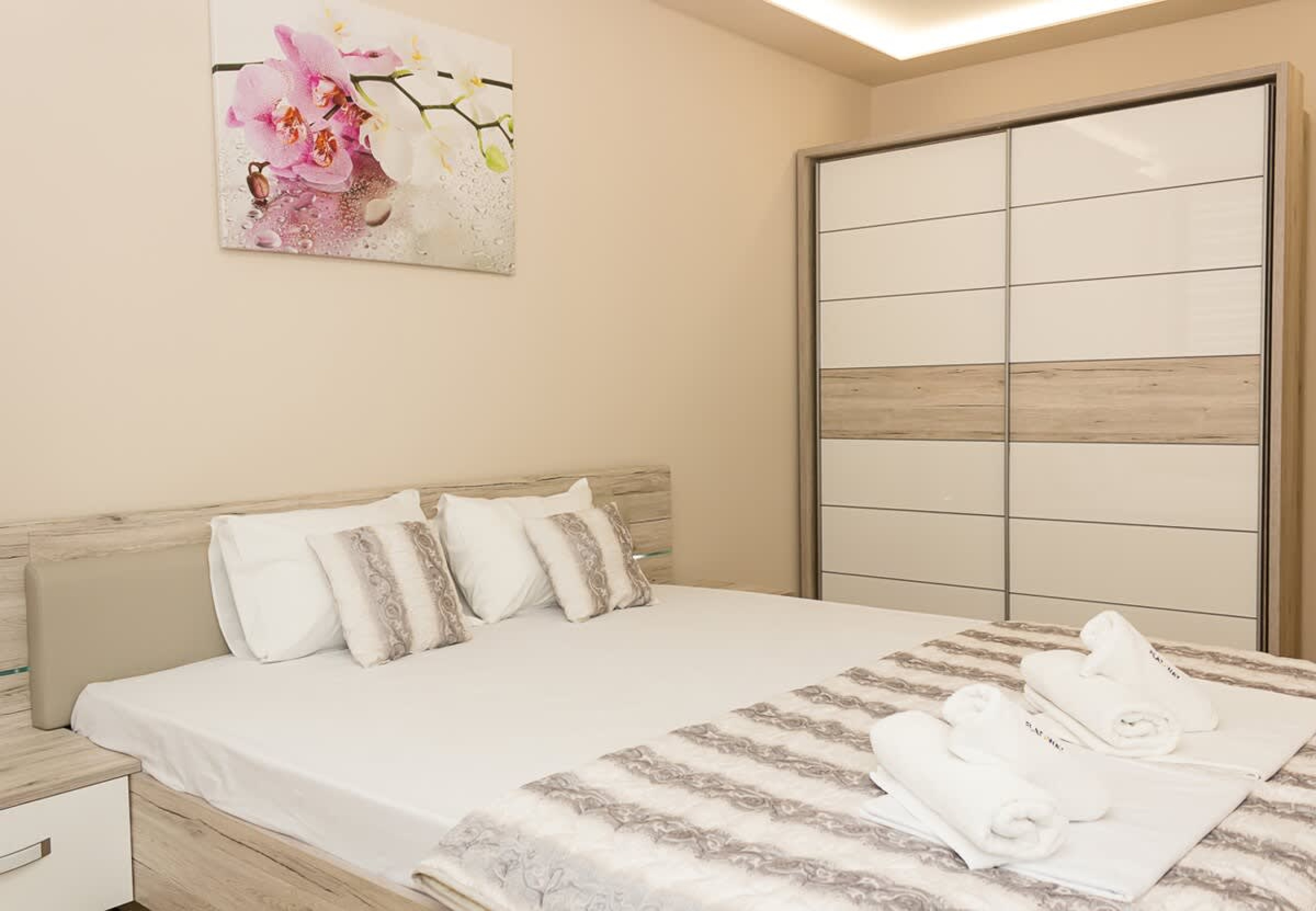 Scoutaround White Logo