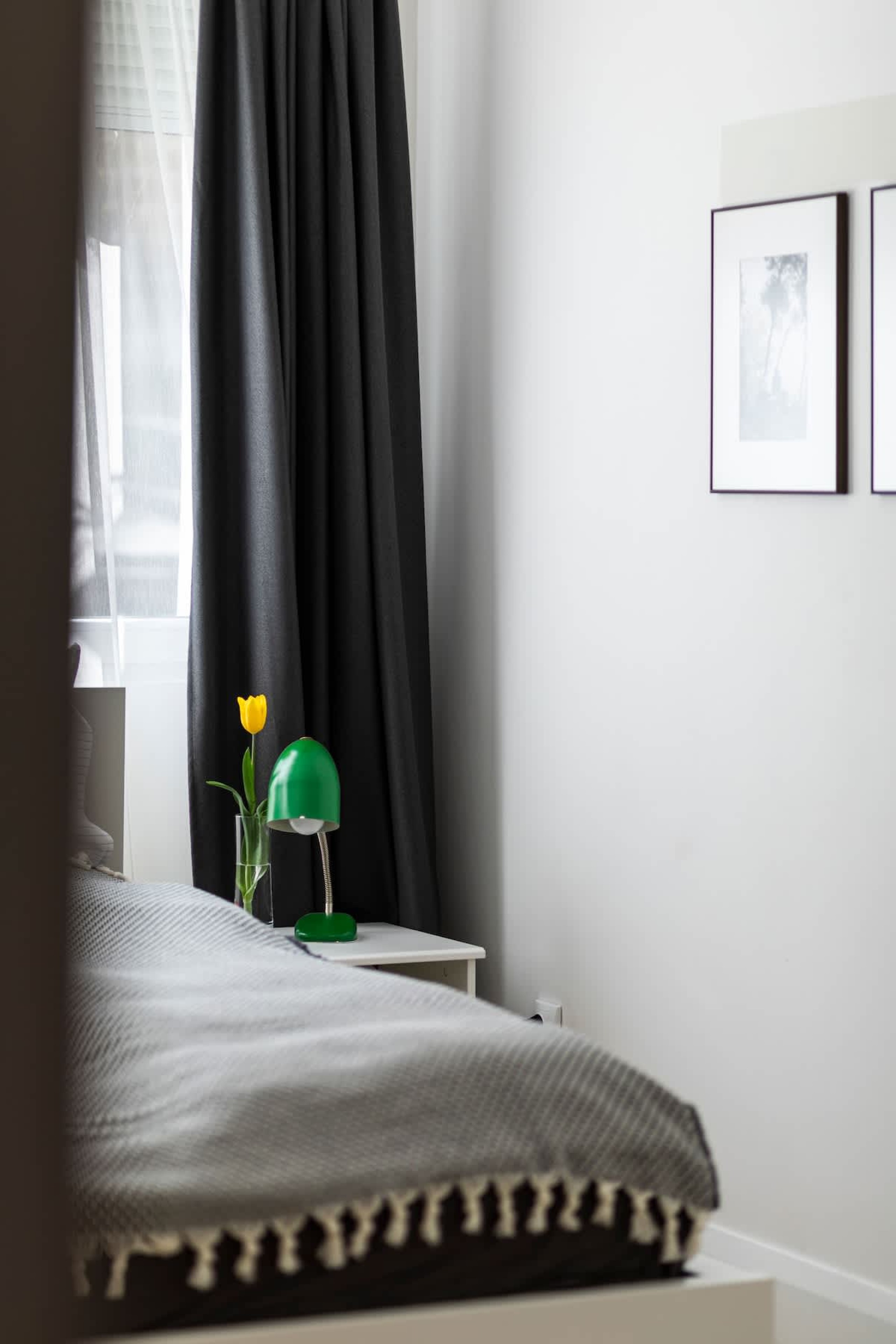 Scoutaround White Logo