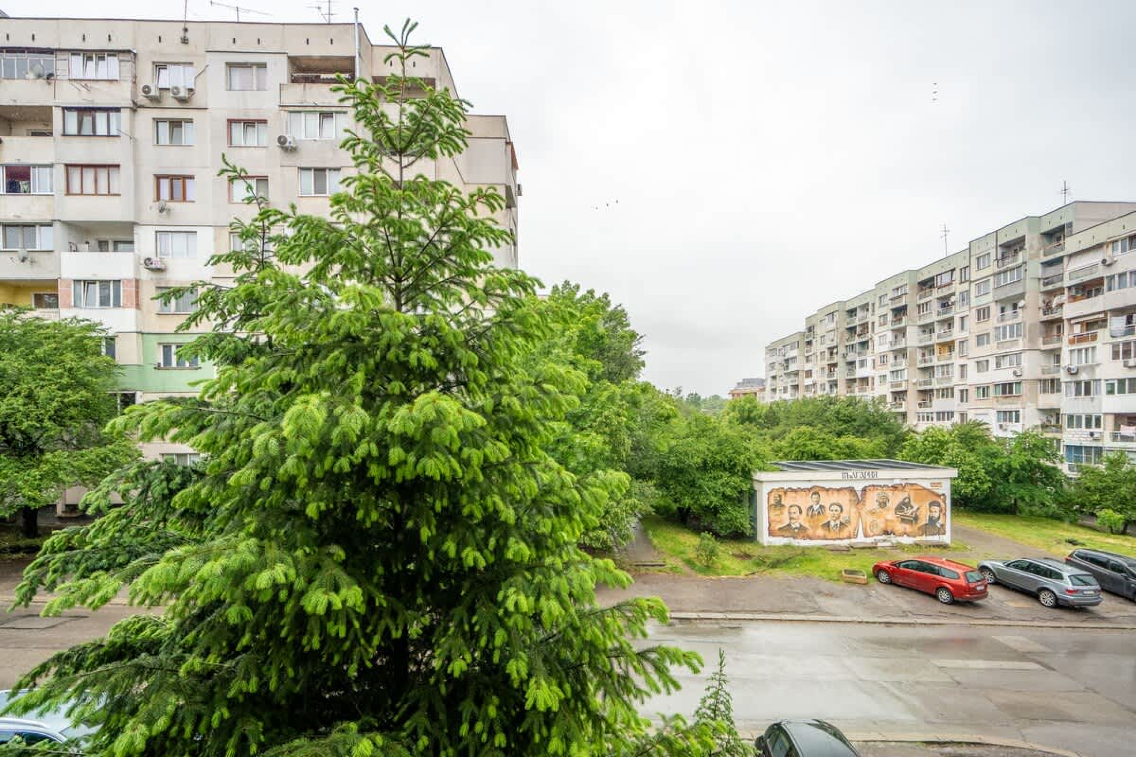 Scoutaround White Logo